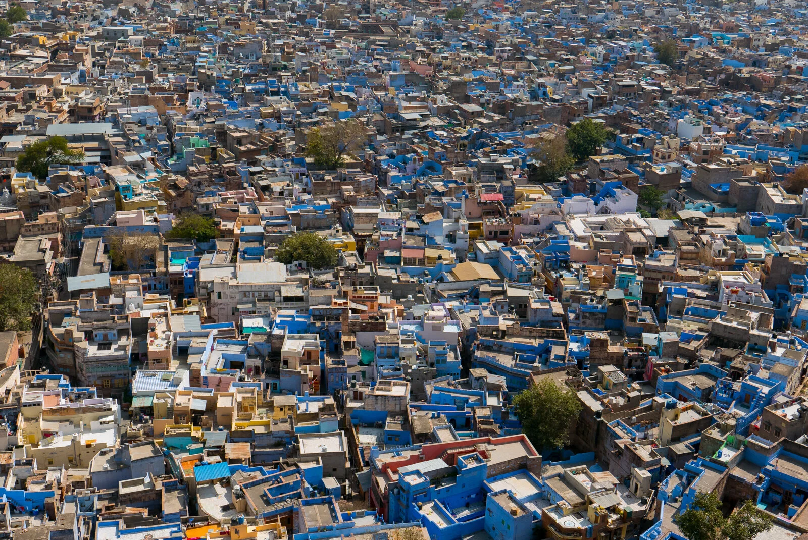 India P1390707.jpg