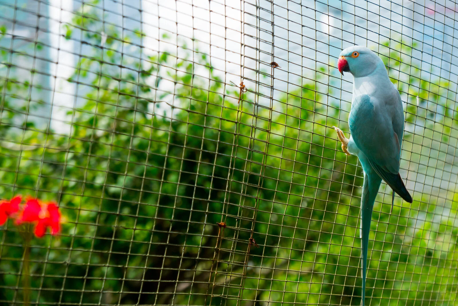 Kuala LumpurP1300823.jpg
