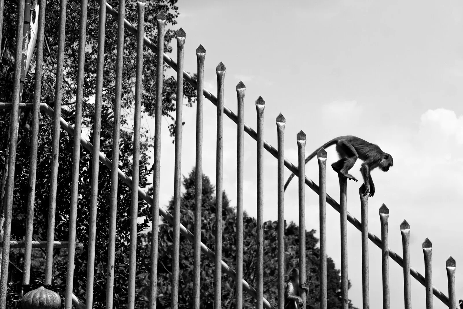 Kuala LumpurP1320163.jpg