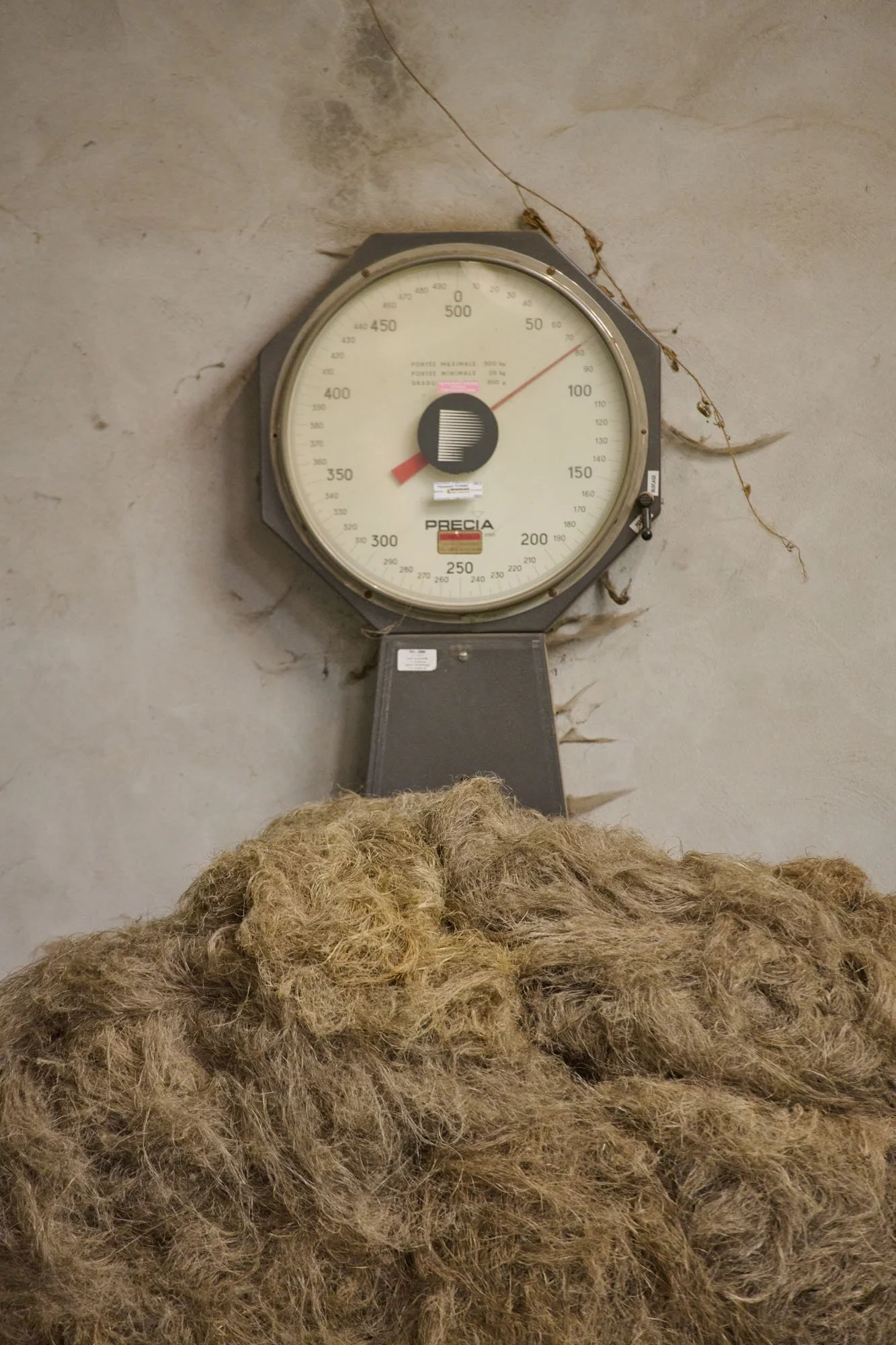 250703_de_Le_Cuona_France__Scutchers_Factory_186.jpg