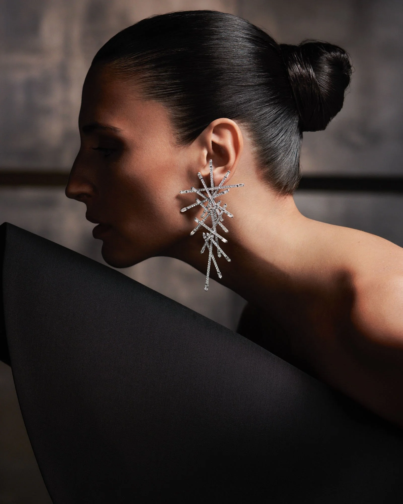 FABIO SALINI BOOK PROJECT