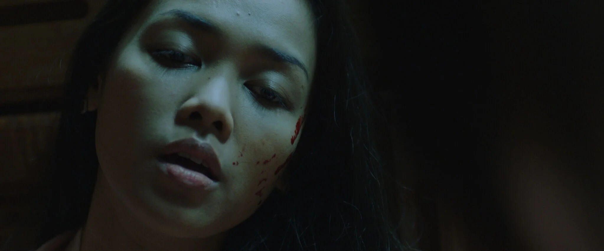 Ithaca FNTSTK and Celluloid Screams&nbsp;added to the festival line up!