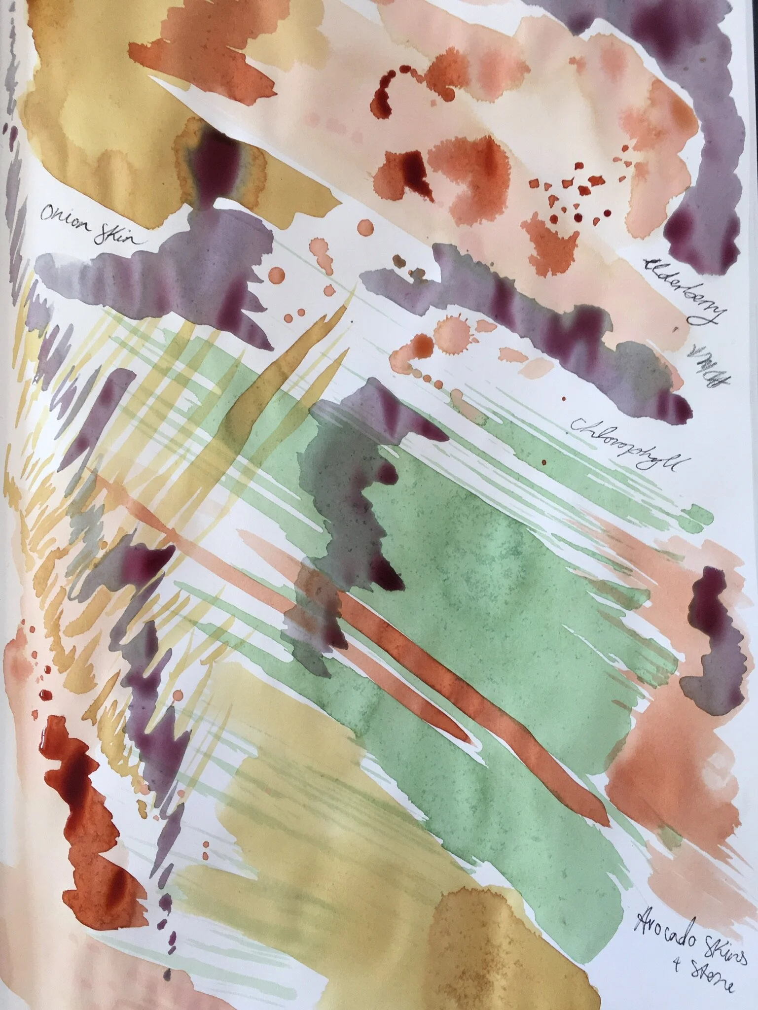      

 
      Sketchbook pages…  A few images experimenting with natural dye inks, these initial studies help me to visualise the final large scale fabrics.  I used avocado skins + stones, onion skins, elderberry, chlorophyll and coreopsis inks - ma