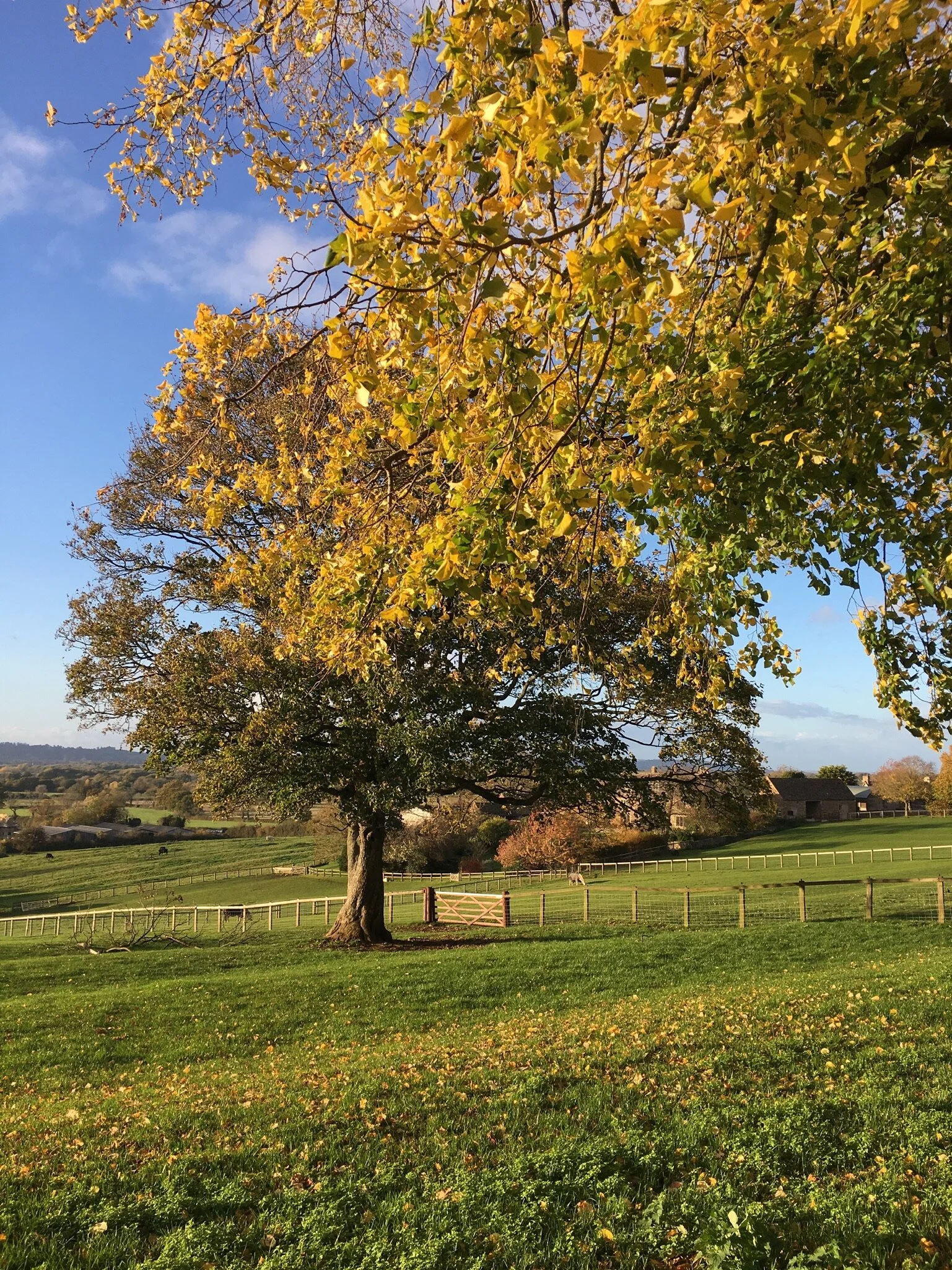      

 
   Autumn… 
 






















    


  

  


 
   
    
      

        

        

        
          
             
               
                
                 
                  
                     View fullsize 
          