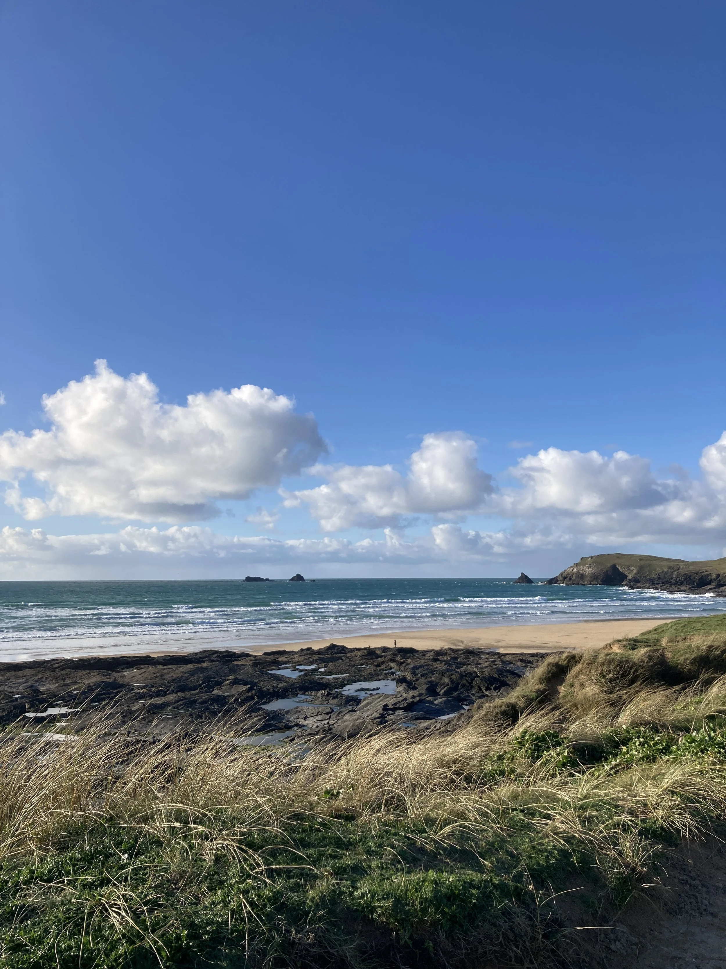      

 
   Back from the craggy North Cornish coast where the primroses were sprouting, and daffodils were being picked in fields, ready for their journey to London flower markets. We had a few sunny days interspersed with good ole’ mizzle (had the 