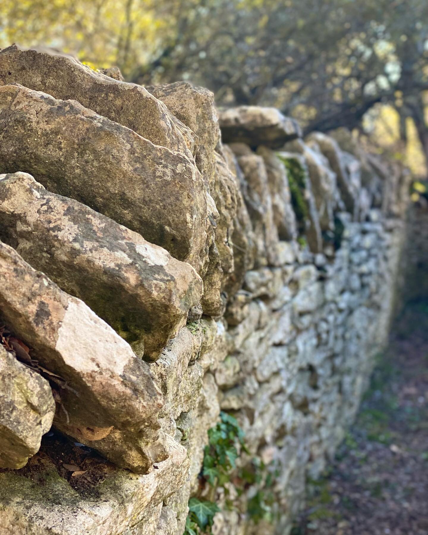 Endless trails on roads that are centuries old. Following the signature walls of the north Luberon.  Wandering near Goult today and finding a chapel, old bories and a hameaux (hamlet)  Story to follow with more images. Thanks @raina_stinson and @prin