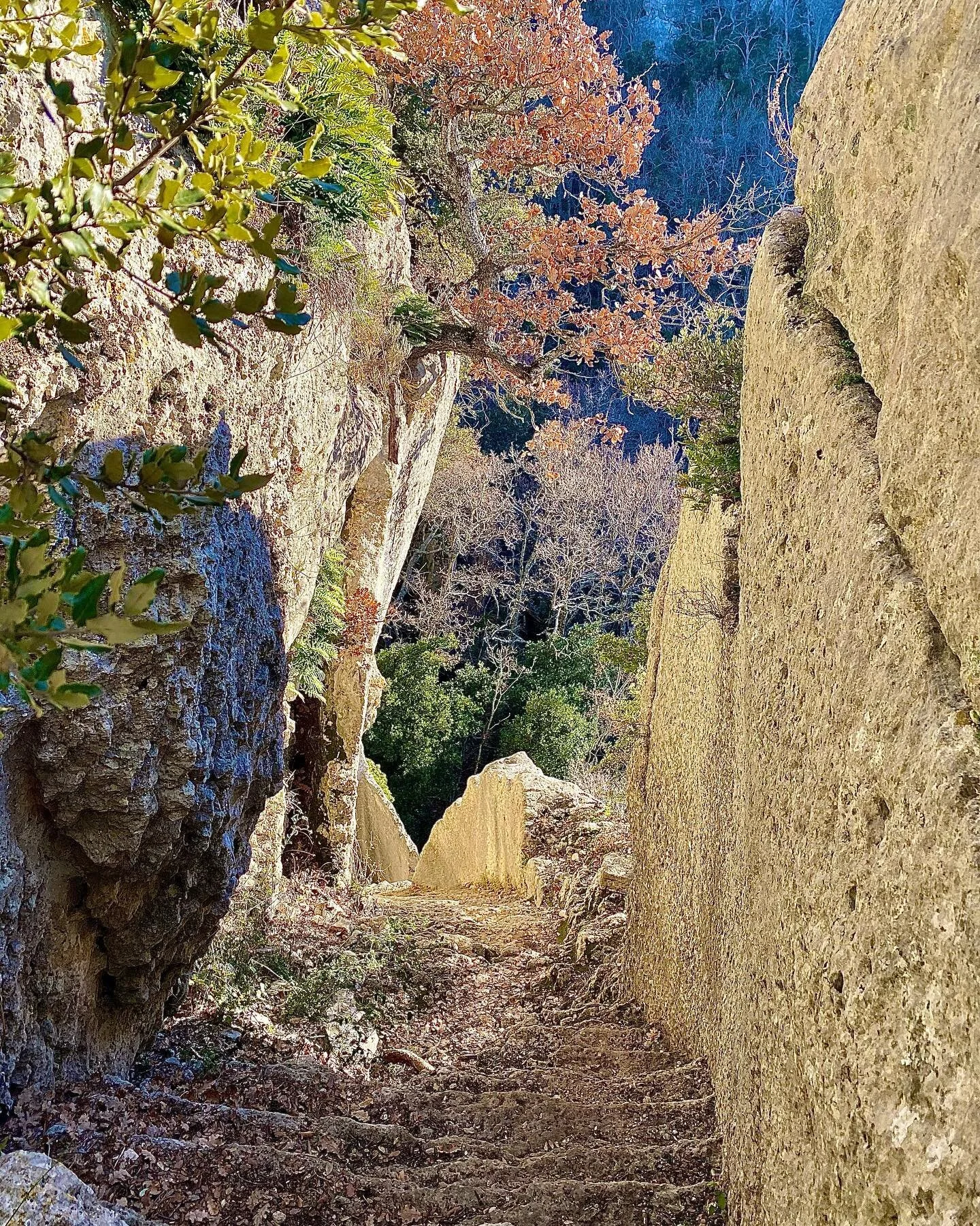 Magical winter lighting&hellip; favorite balades &hellip; Hidden staircase at Fort de Buoux  #buoux #fortdebuoux #luberon #staircases #innature #winteesun