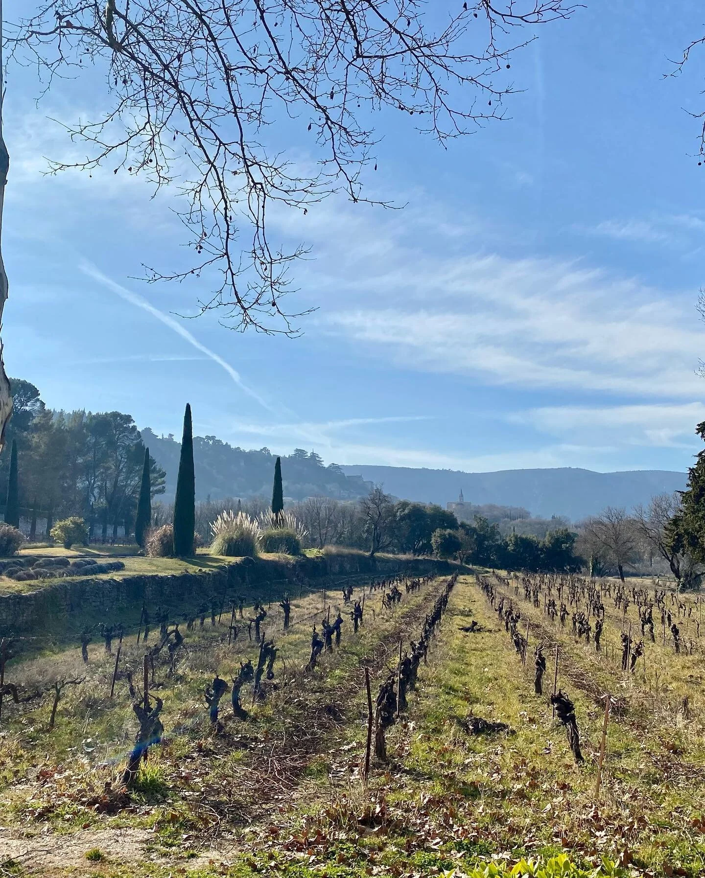 Restock the cave &hellip; one of our &ldquo;house wines&rdquo; is Ch&acirc;teau La Canorgue (in Bonnieux / you may recall the house (pic 3) from the movie A Good Year! ) Respectfully go by and glance up to see it but we&rsquo;re there for the wine. N