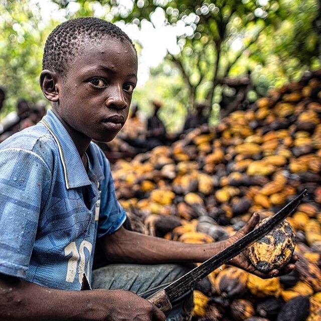 🔜 Hoy es el día mundial contra el trabajo infantil. 🚫NO AL TRABAJO INFANTIL‼️🚫
El trabajo infantil ilegal sigue siendo un problema importante en la industria del chocolate. Tan solo en Ghana y Costa de Marfil, existen más de 2 millones de niños