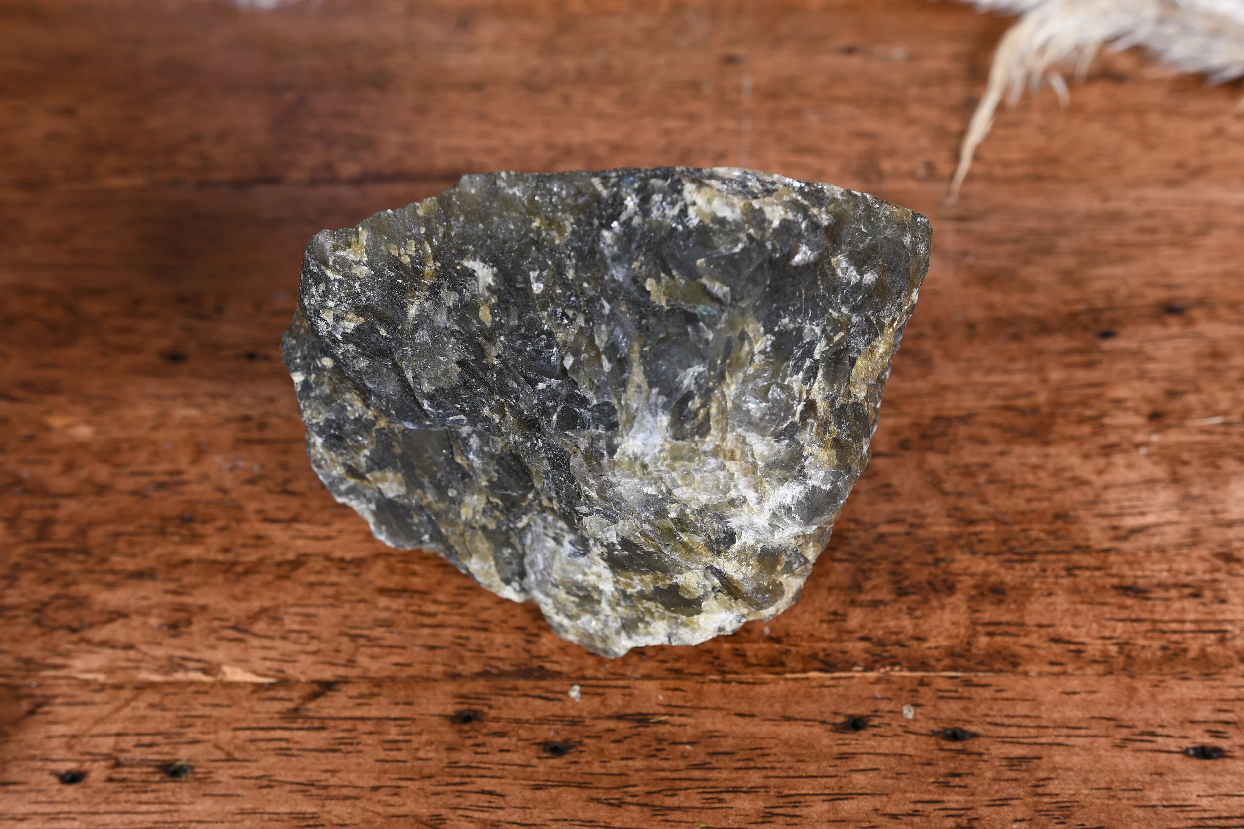 DSC_2644.JPG