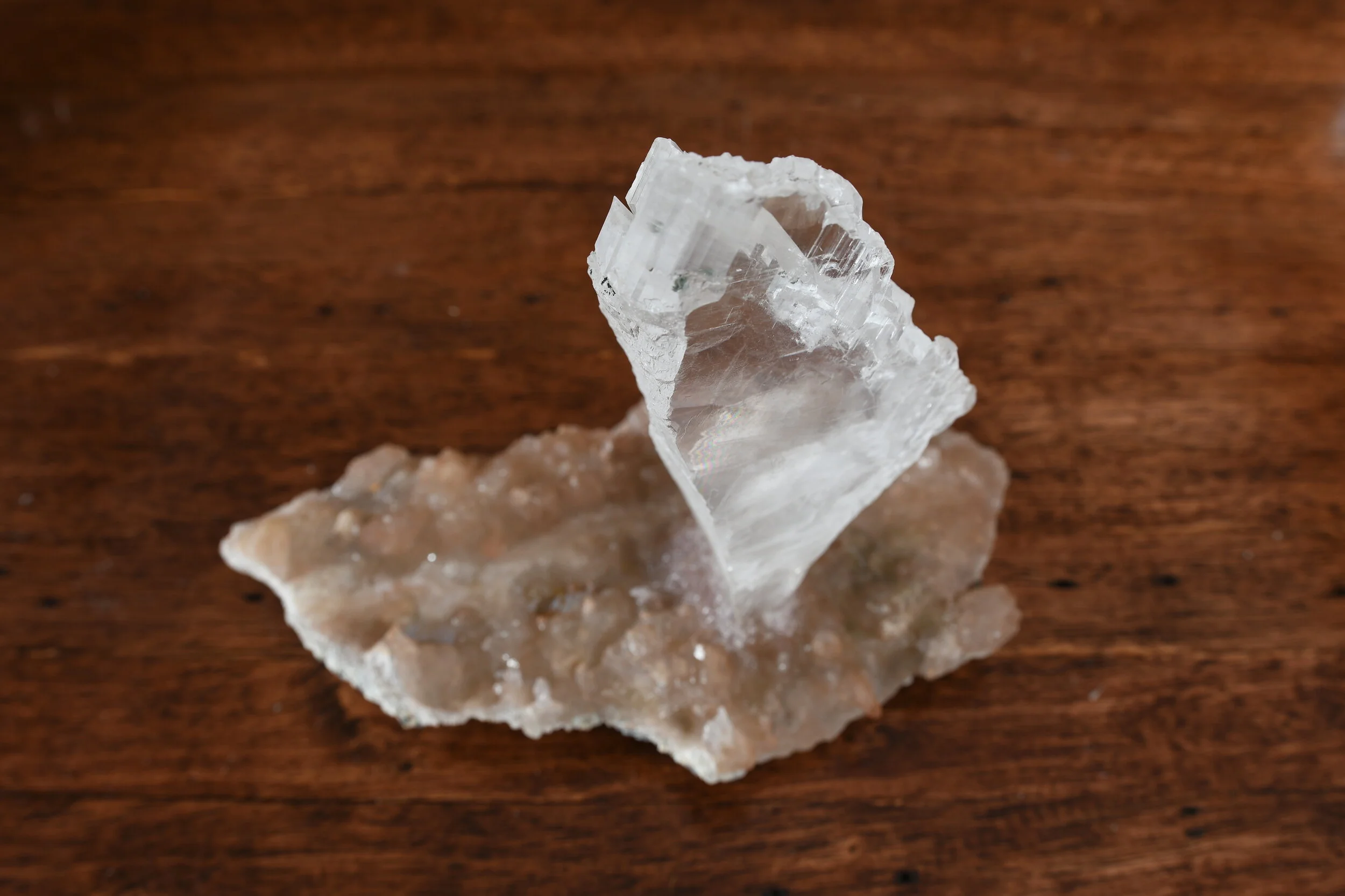 DSC_2754.JPG