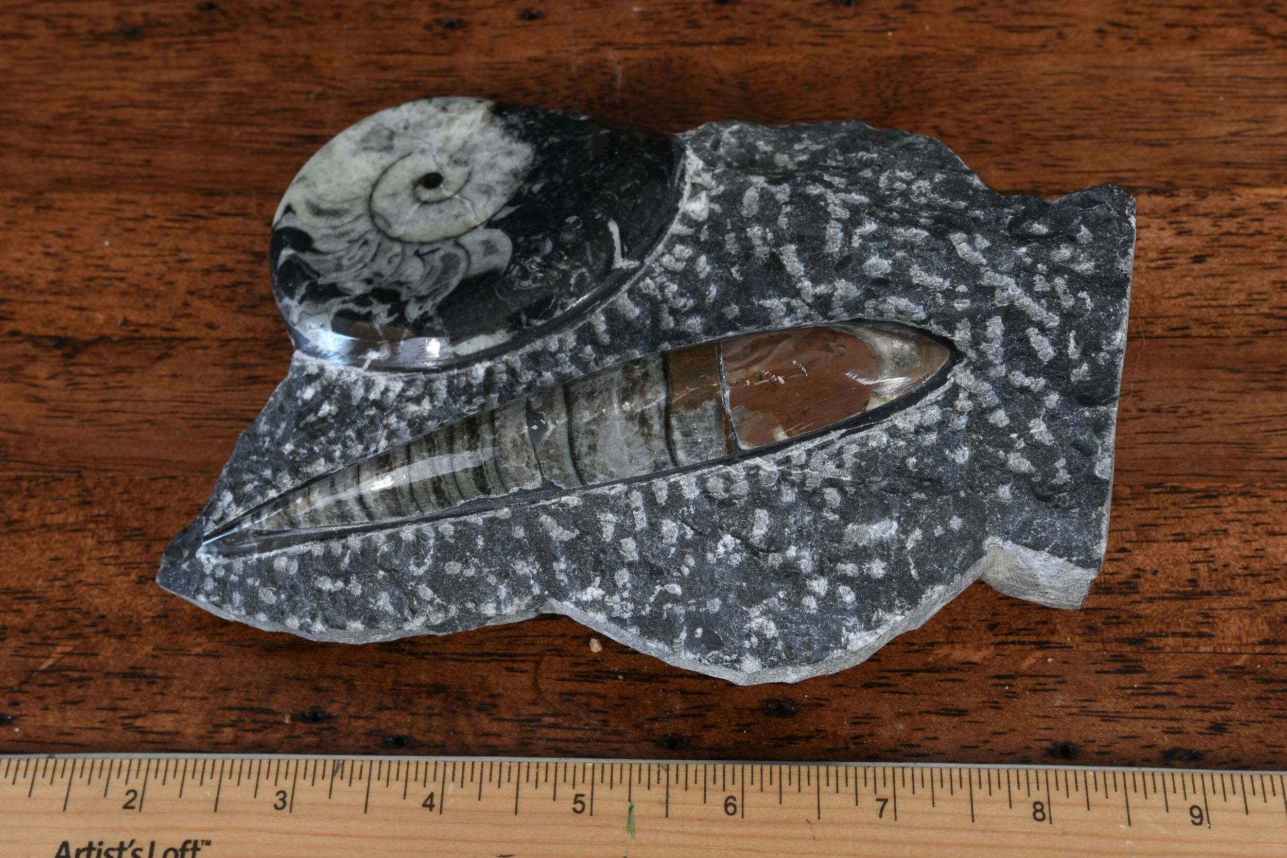 DSC_3303.JPG