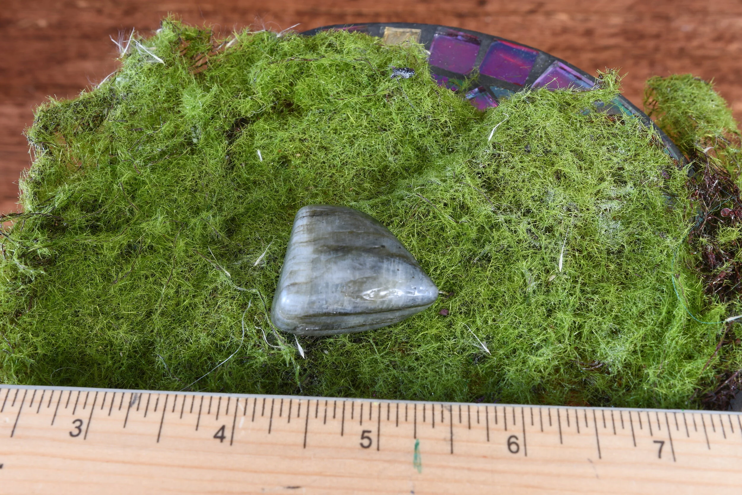 DSC_3320.JPG