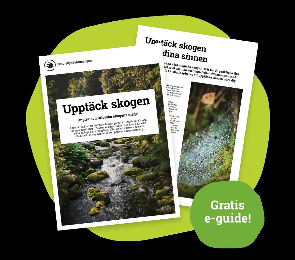 E-guide-Naturskyddsföreningen.jpg