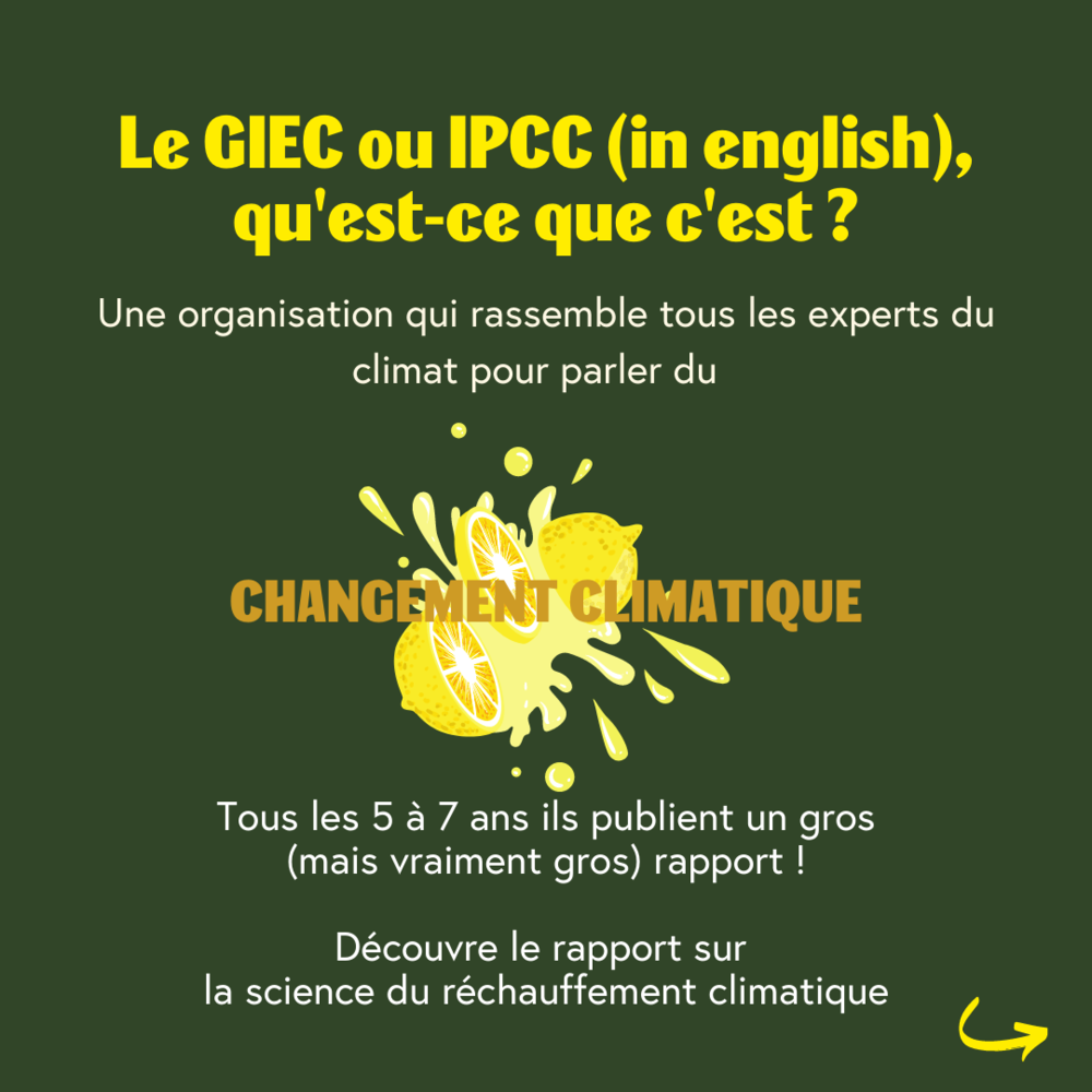 Rapport du GIEC