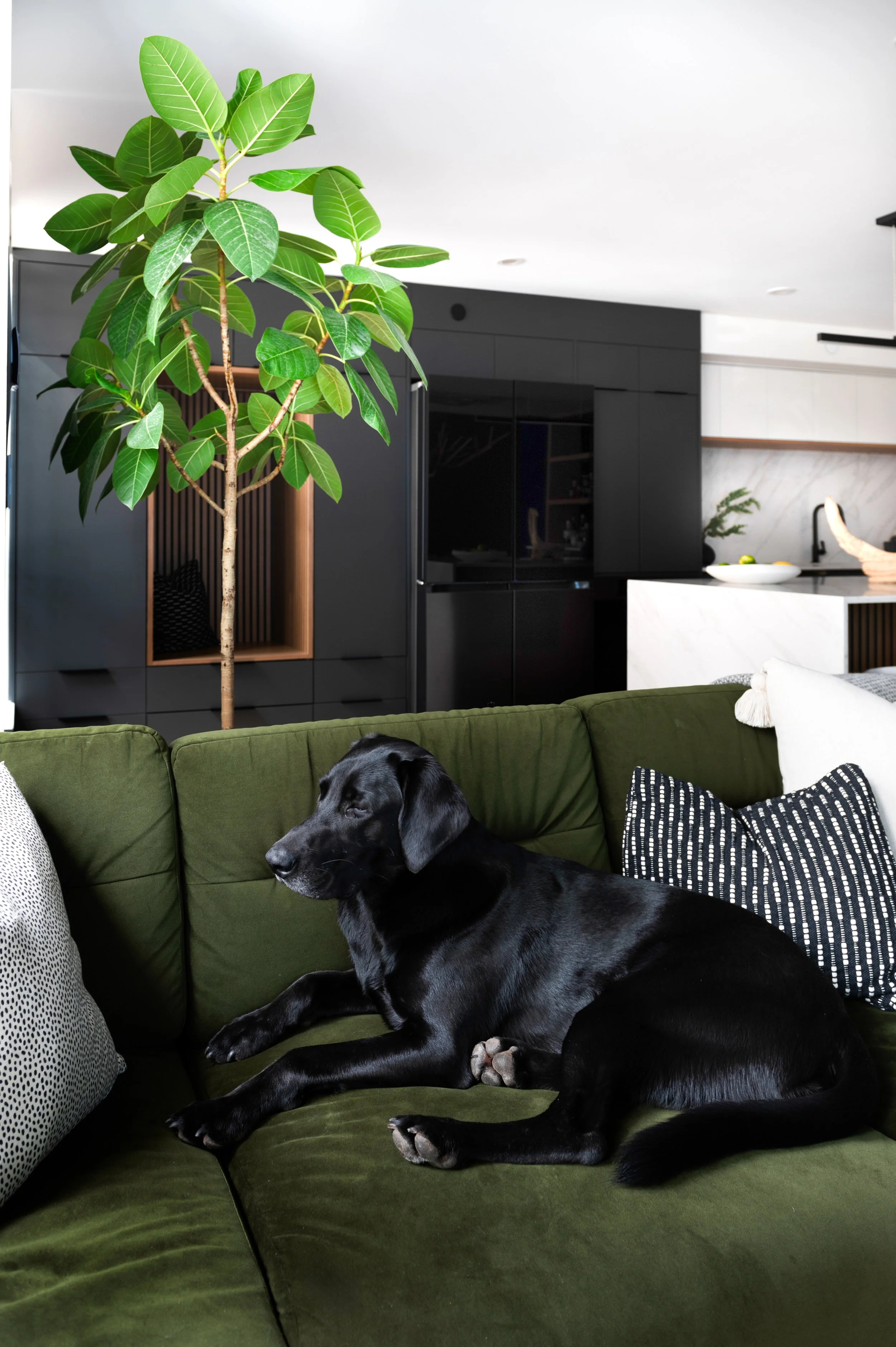 Roka_Projects_Accentrix_Designs_Homer_Street_Tracey_Ayton_Photography_6630-Edit.jpg