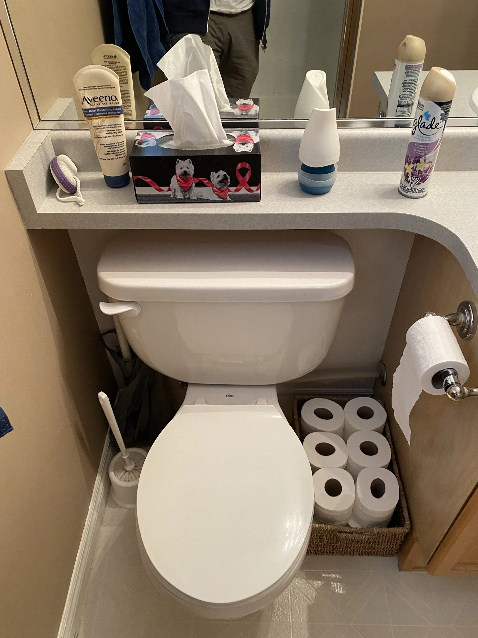 surrey-three-bathroom-refresh - Before - 09.jpeg