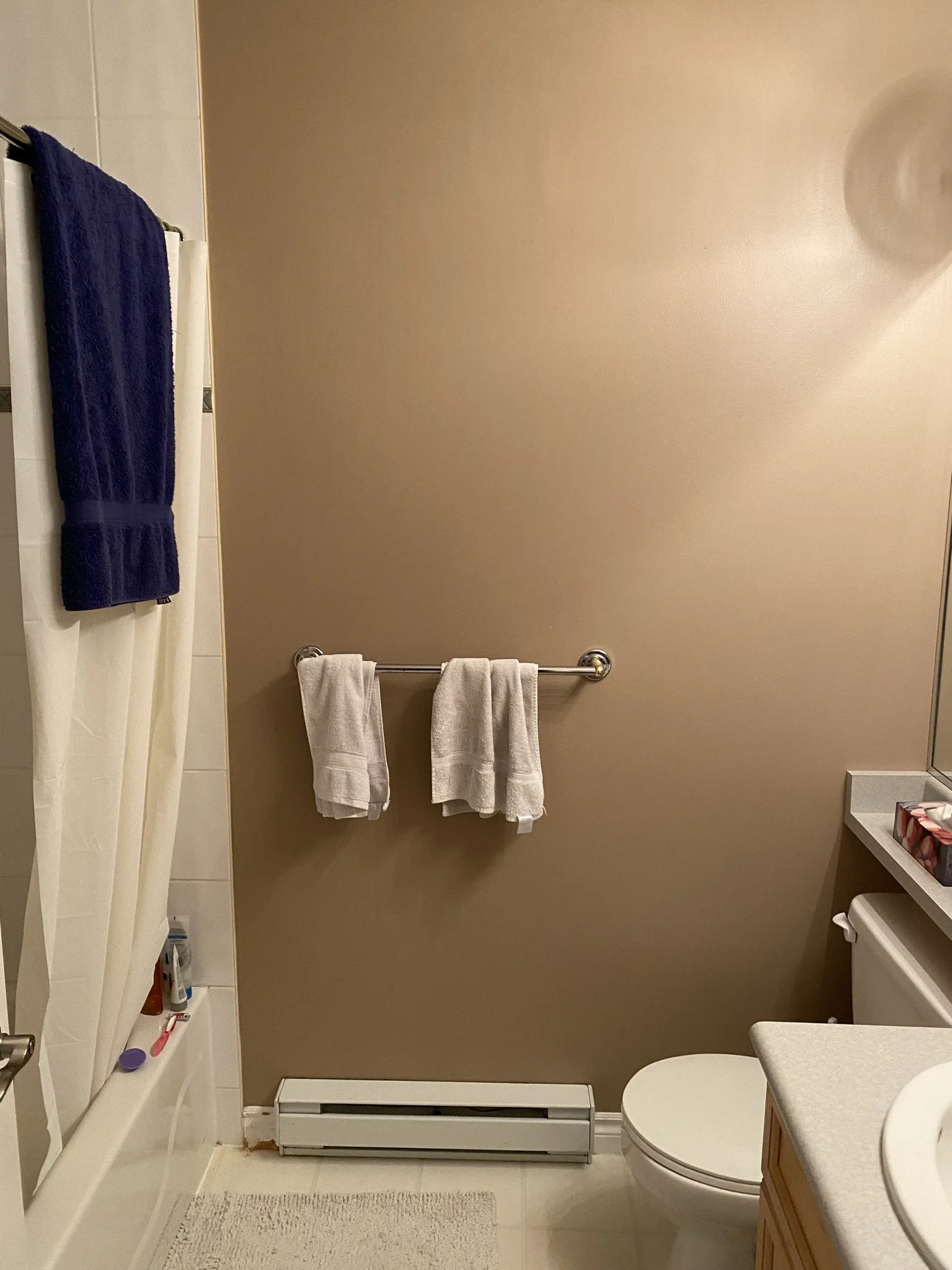surrey-three-bathroom-refresh - Before - 17.jpeg