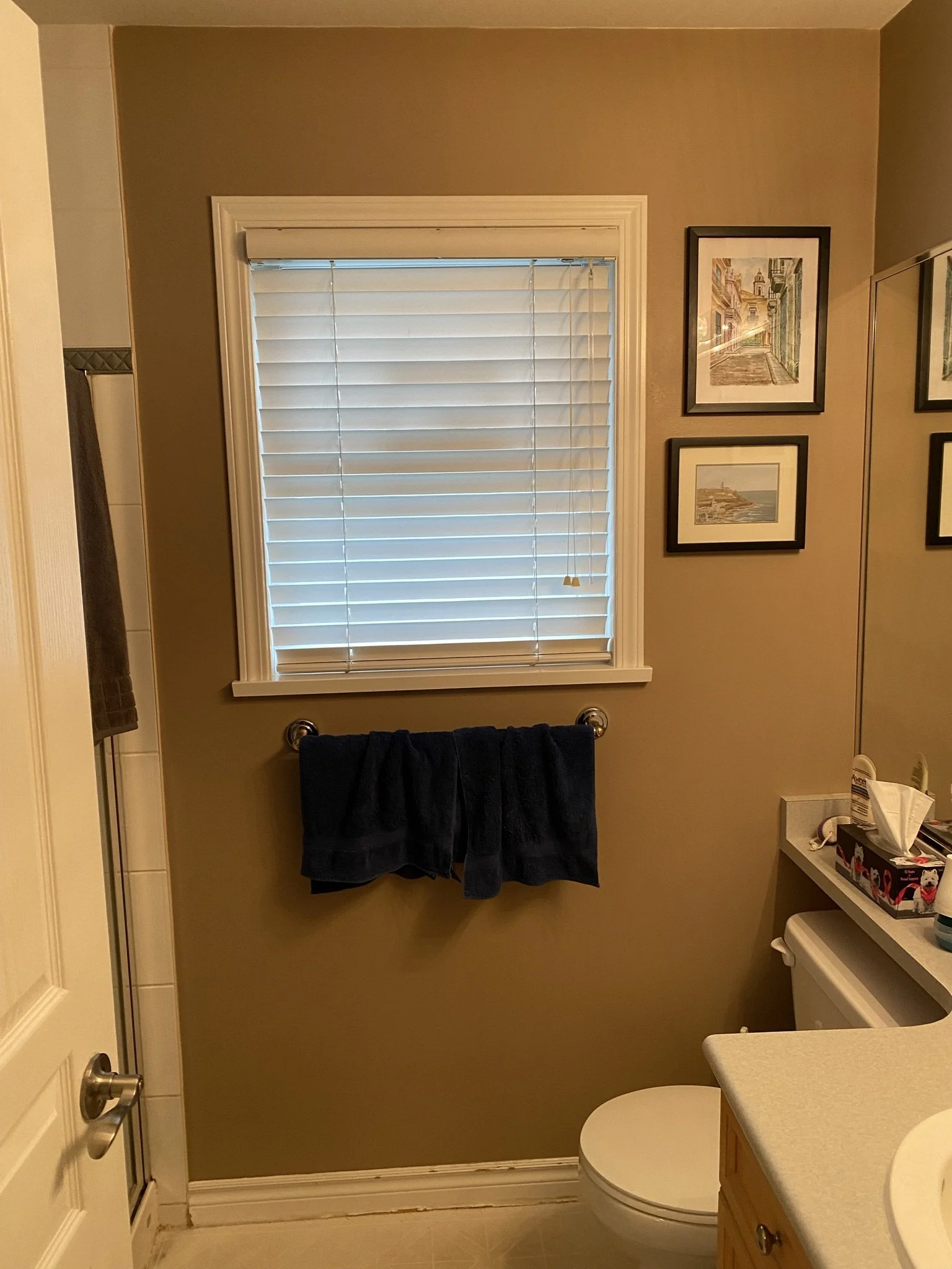surrey-three-bathroom-refresh - Before - 36.jpeg