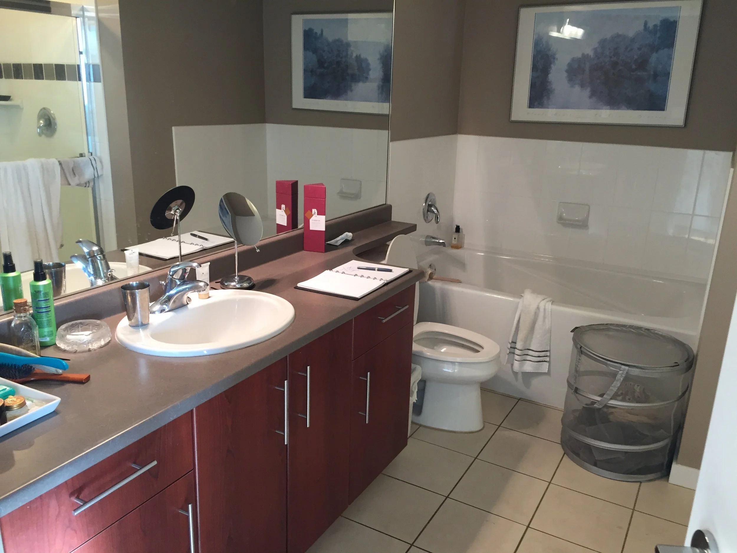 false-creek-condo-renovation - Before - 02.jpg