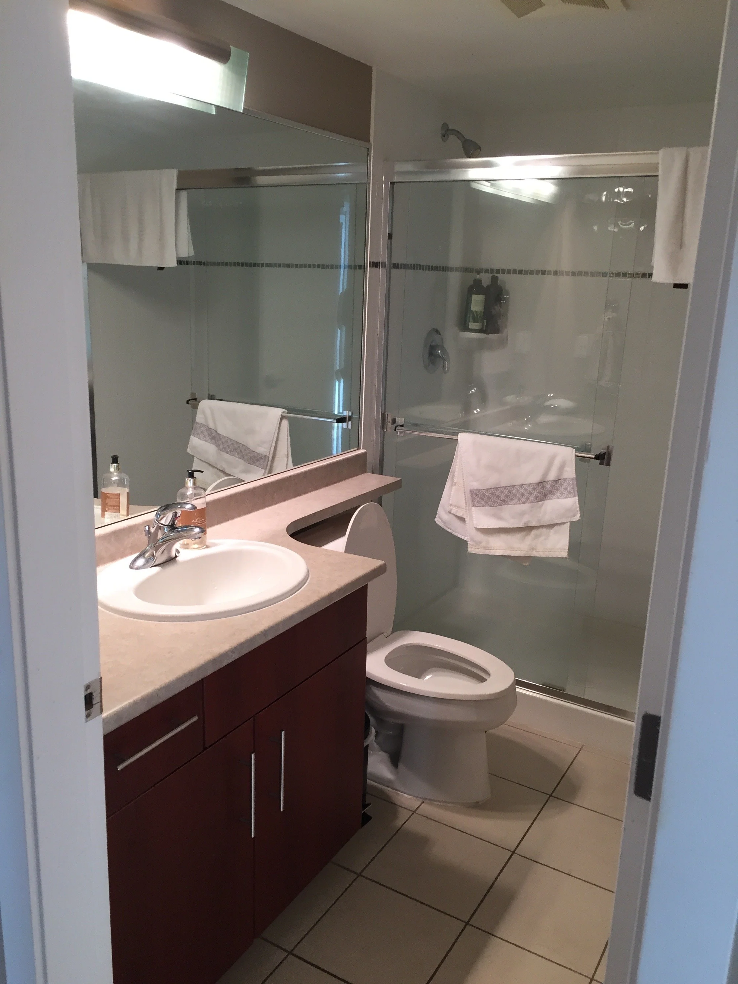 false-creek-condo-renovation - Before - 04.jpg