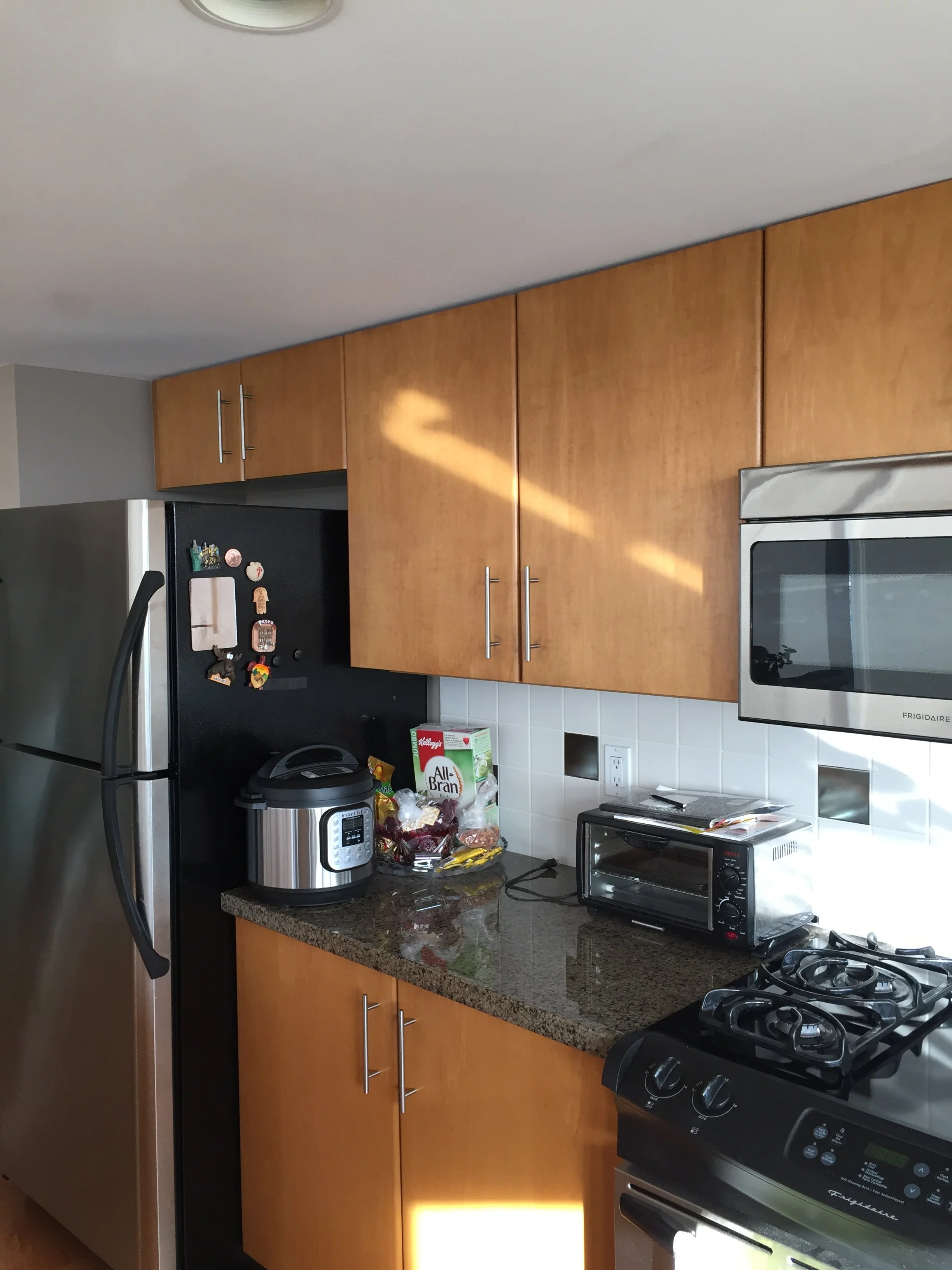 false-creek-condo-renovation - Before - 07.jpg