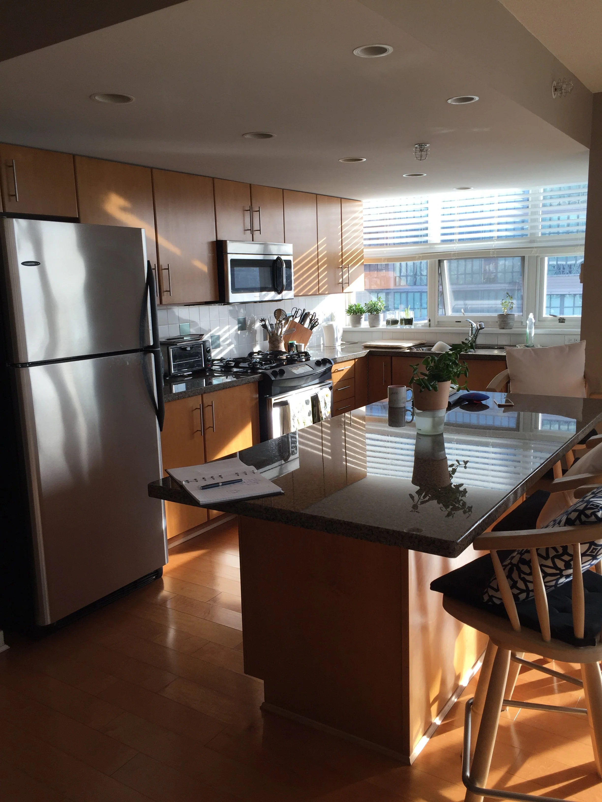 false-creek-condo-renovation - Before - 08.jpg