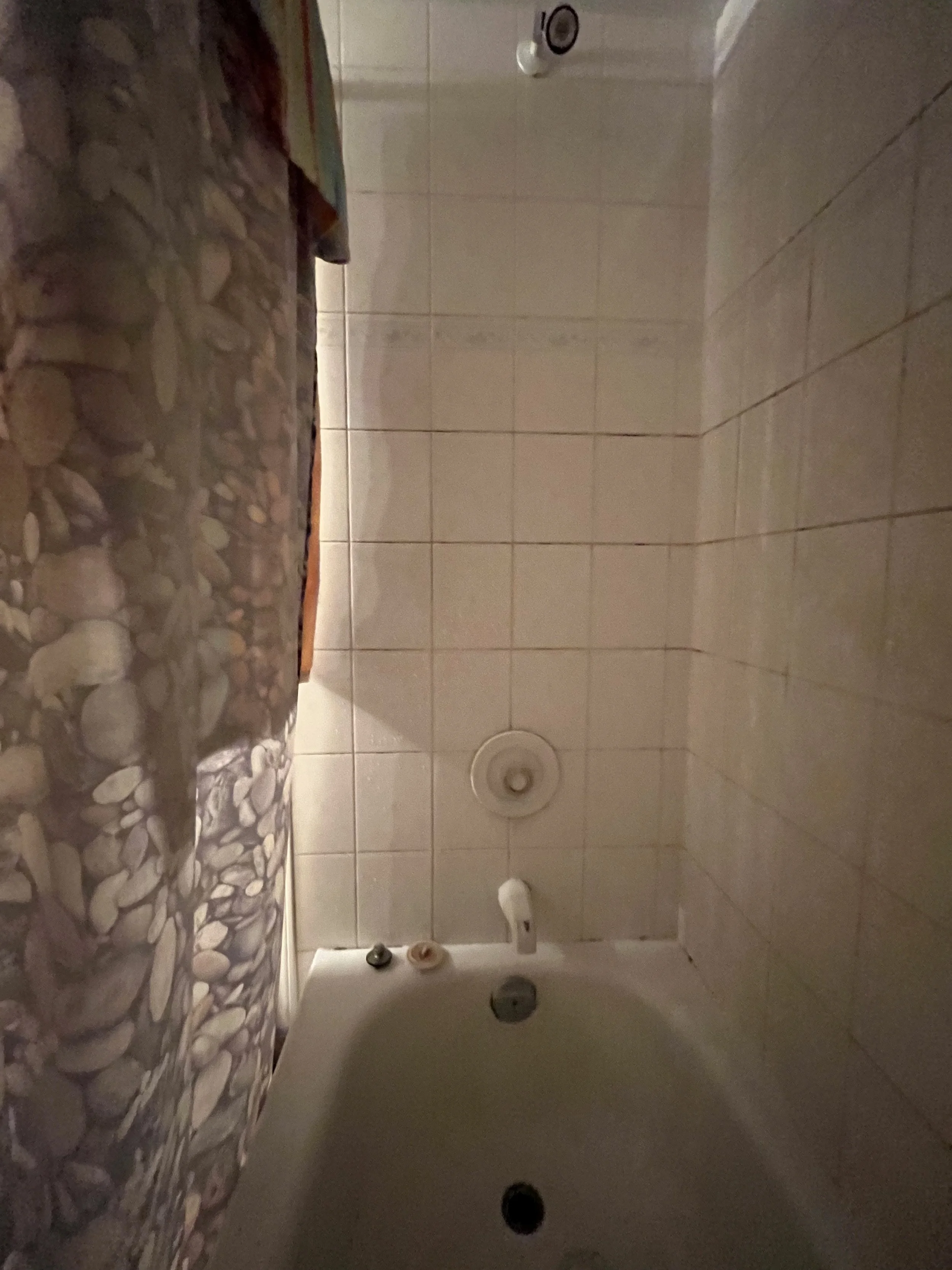 vancouver-condo-renovation-aging-in-place - Before - 04.jpg