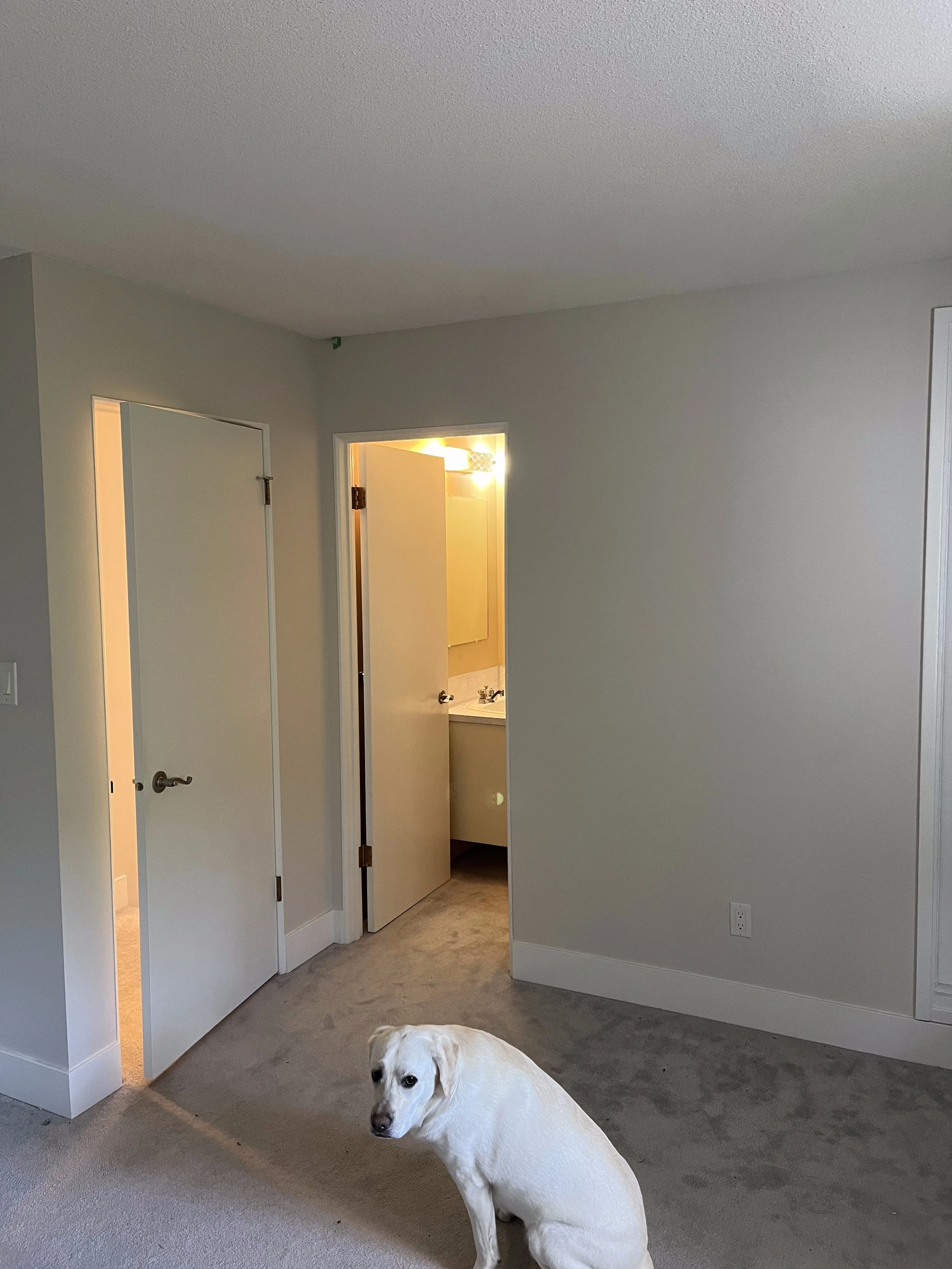 lynn-valley-townhouse-ensuite-conversion - Before - 06.jpg
