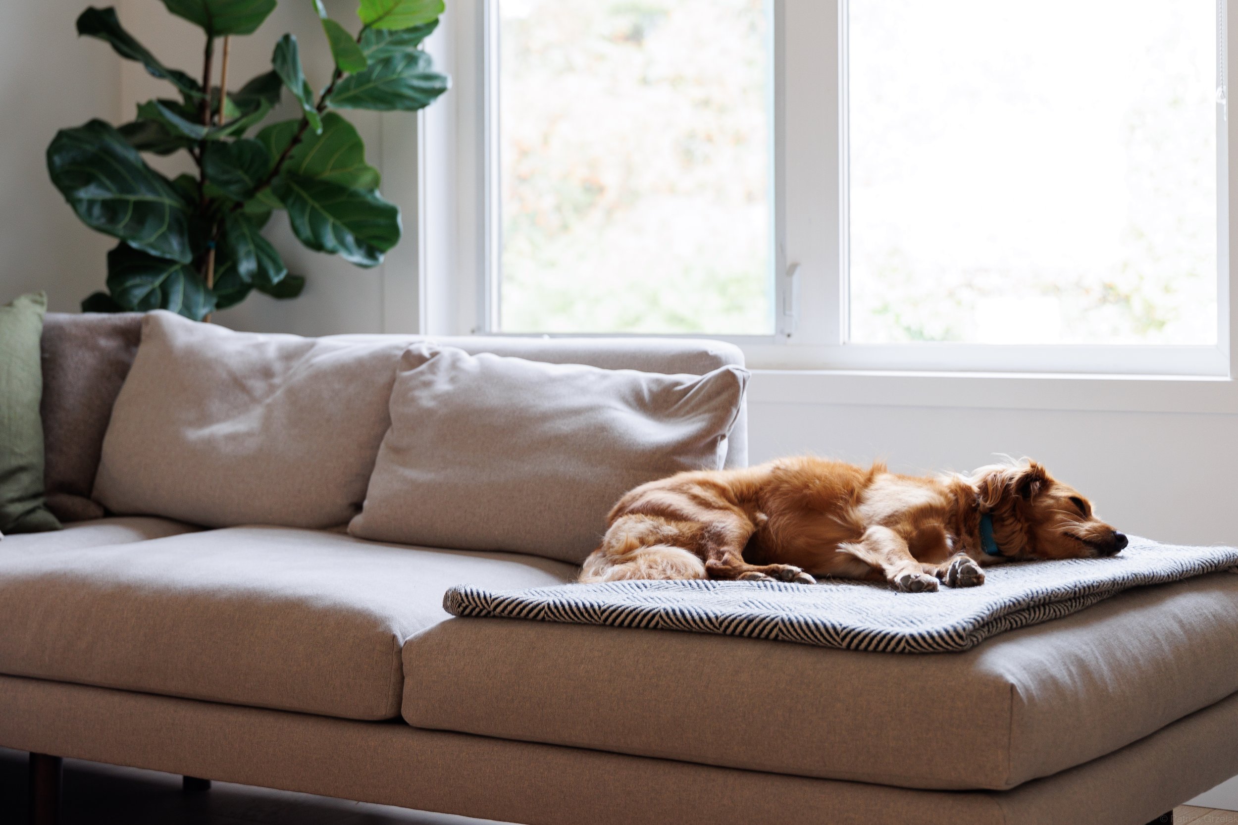east-vancouver-home-renovation - After - 13.jpg