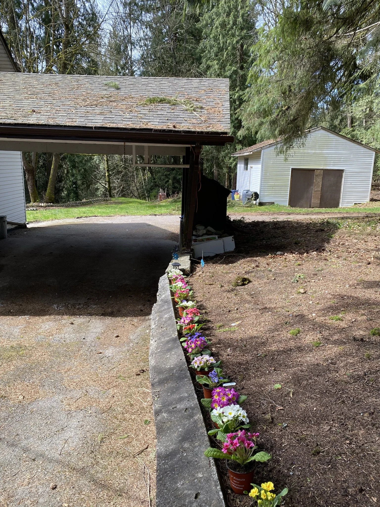 pitt-meadows-retaining-wall-repair - Before - 10.jpg