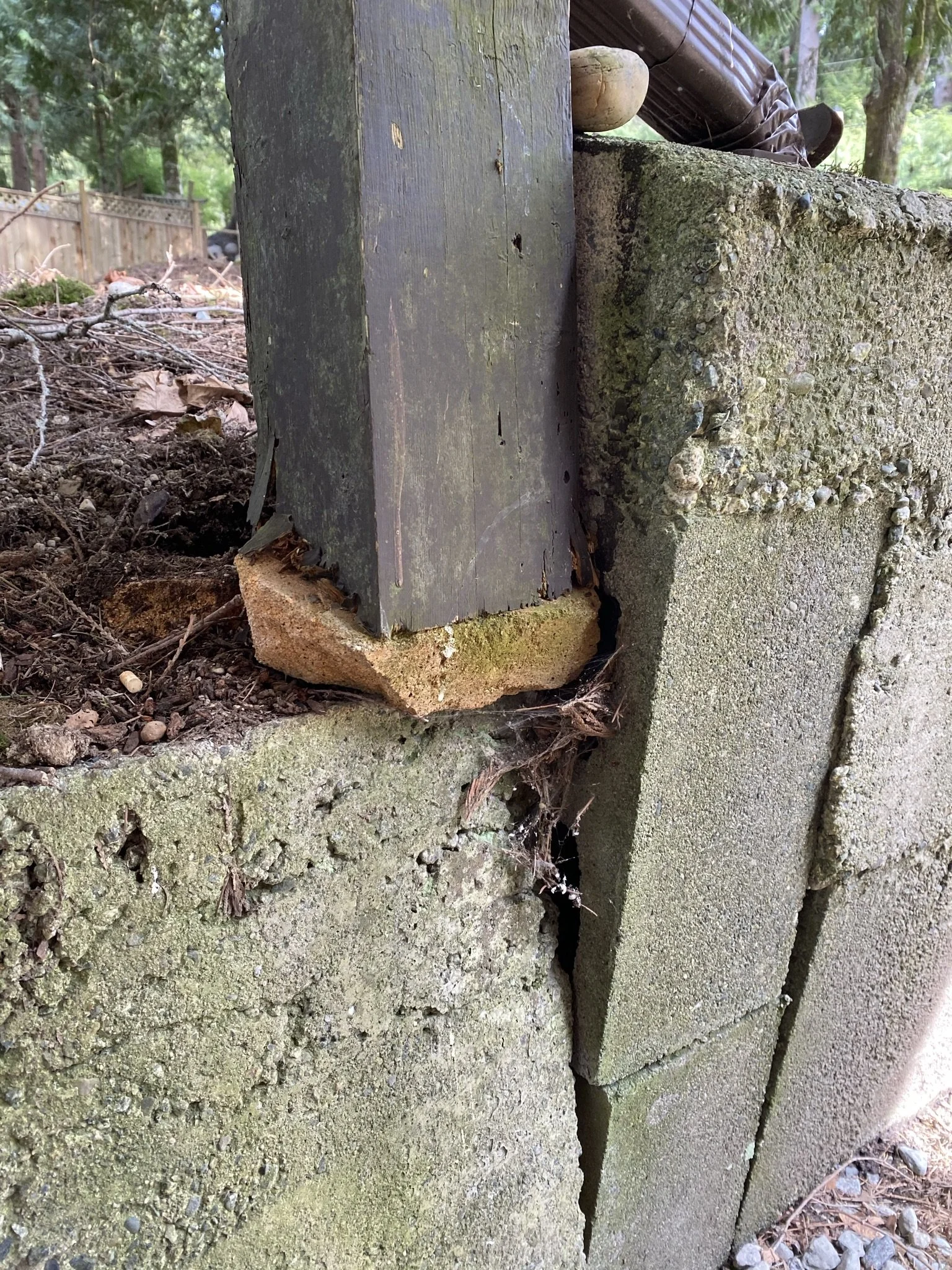 pitt-meadows-retaining-wall-repair - Before - 15.jpg