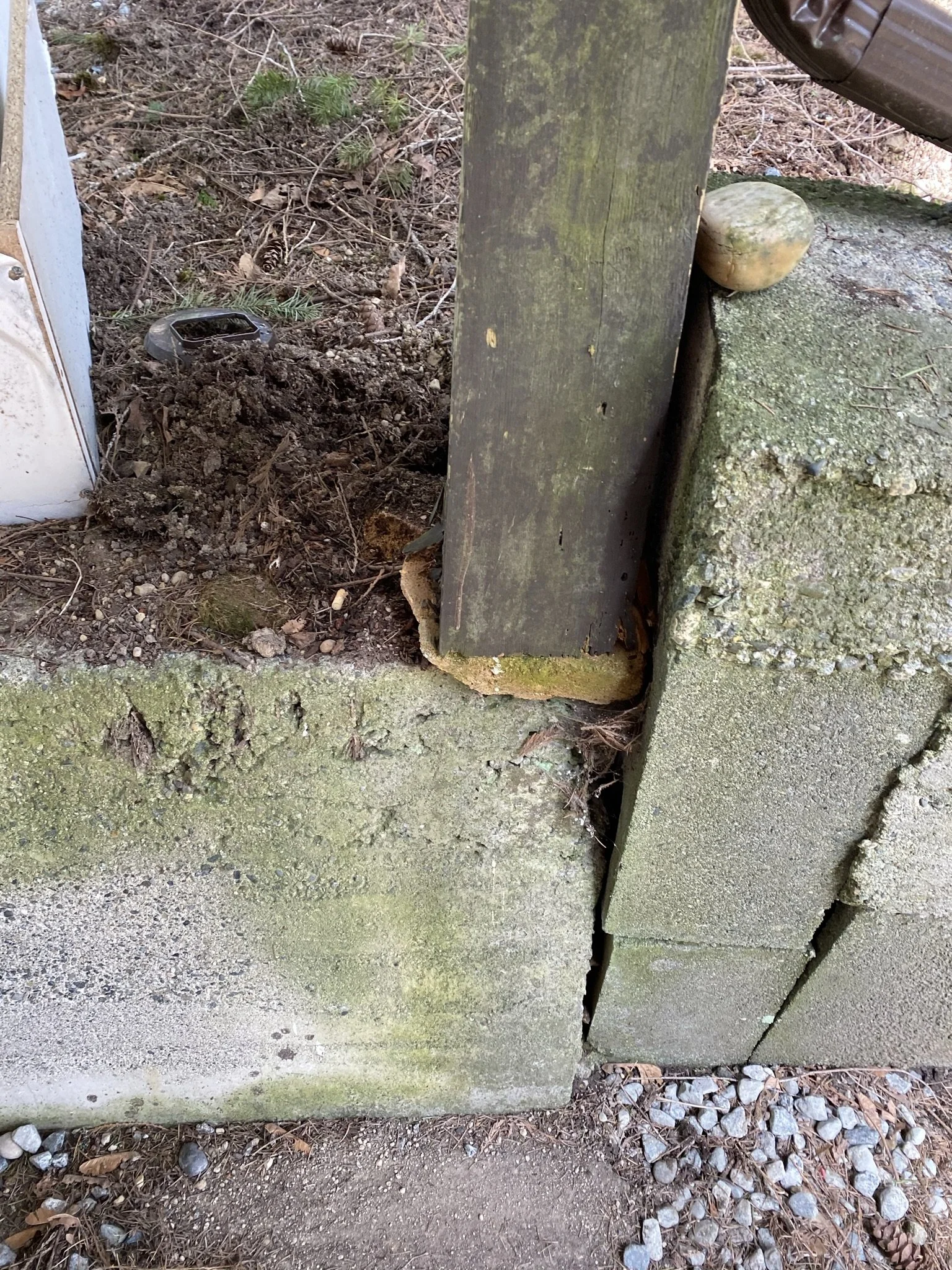 pitt-meadows-retaining-wall-repair - Before - 19.jpg