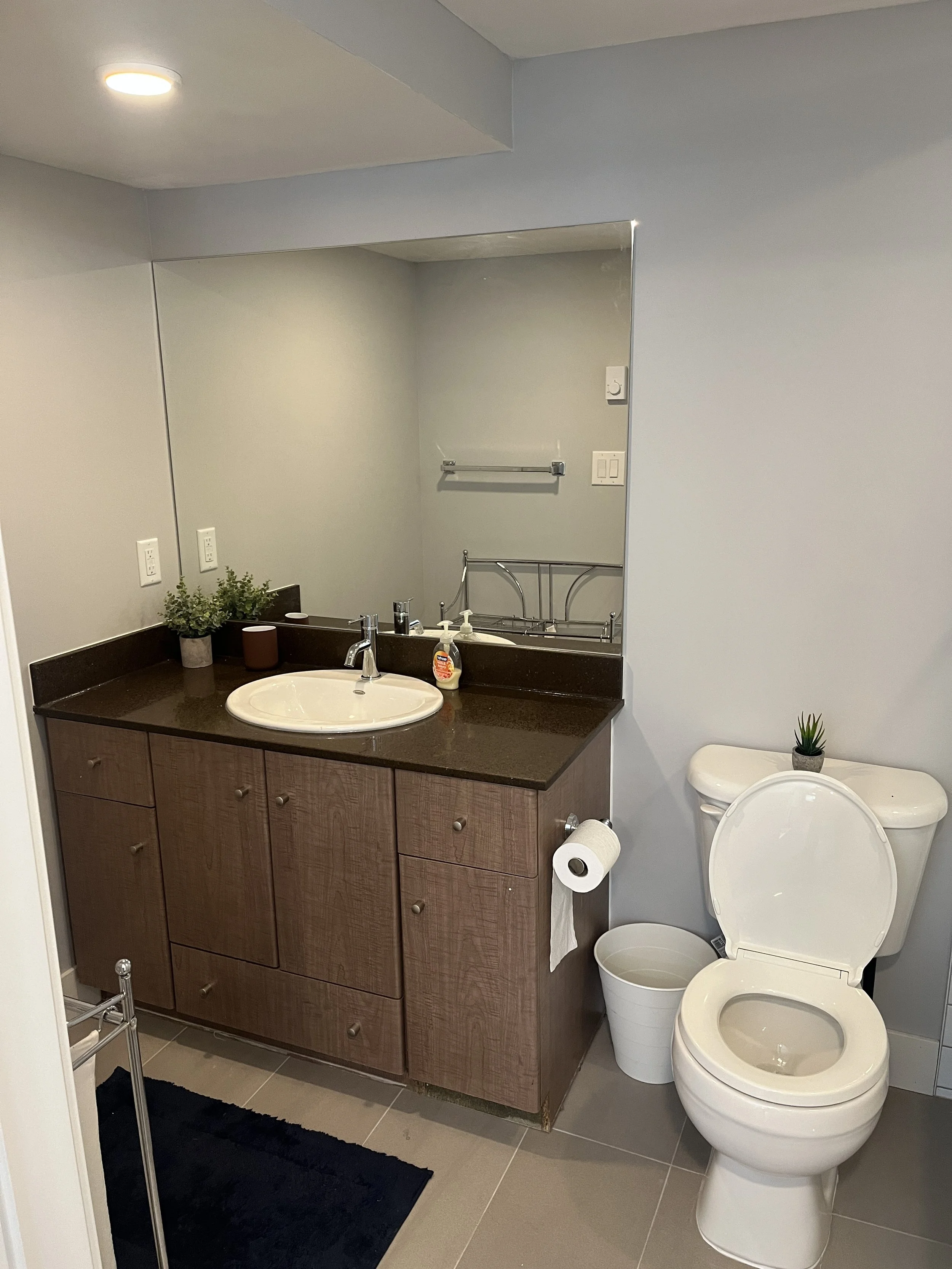 east-vancouver-basement-suite-conversion - After - 13.jpg