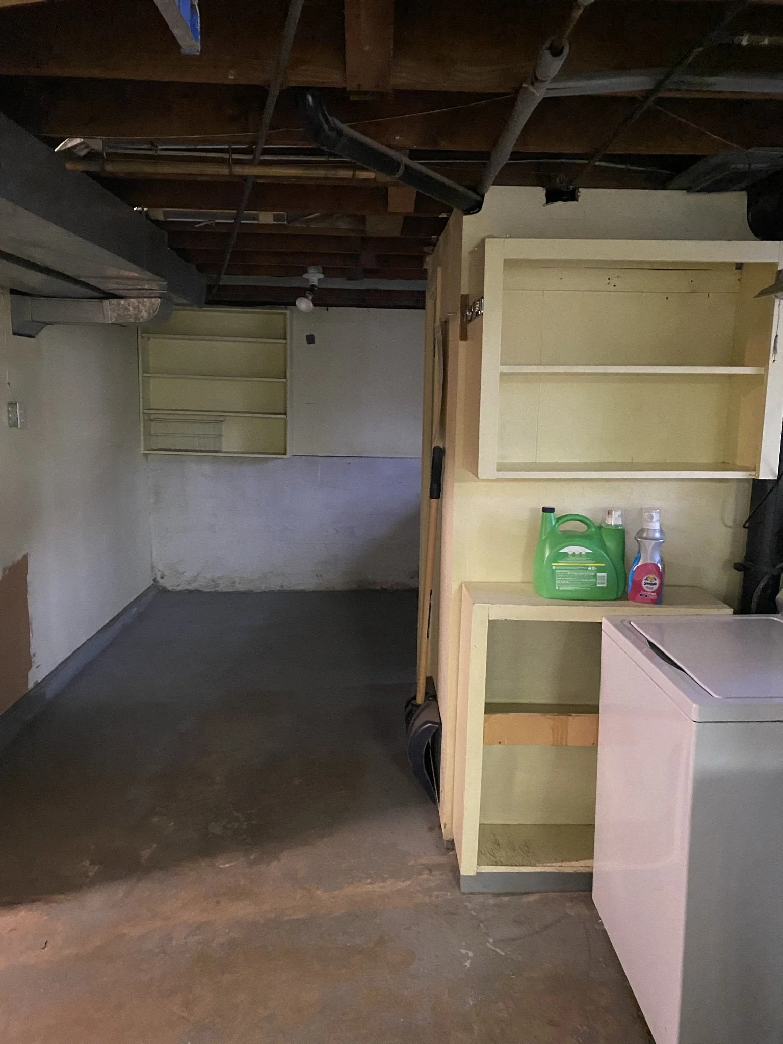 east-vancouver-basement-suite-conversion - Before - 13.jpg