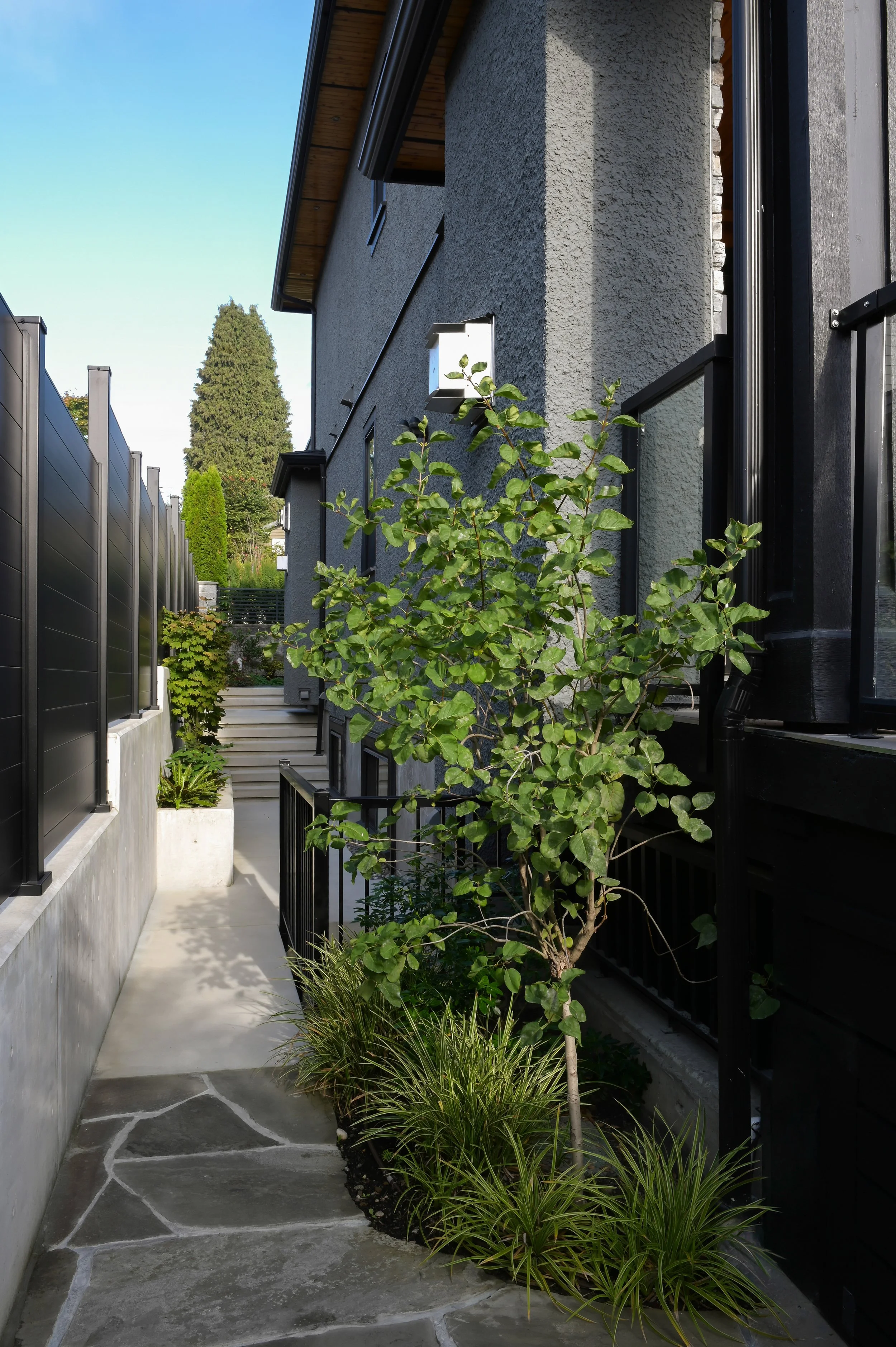 new-westminster-retaining-wall-exterior-renovation - After - 13.jpg