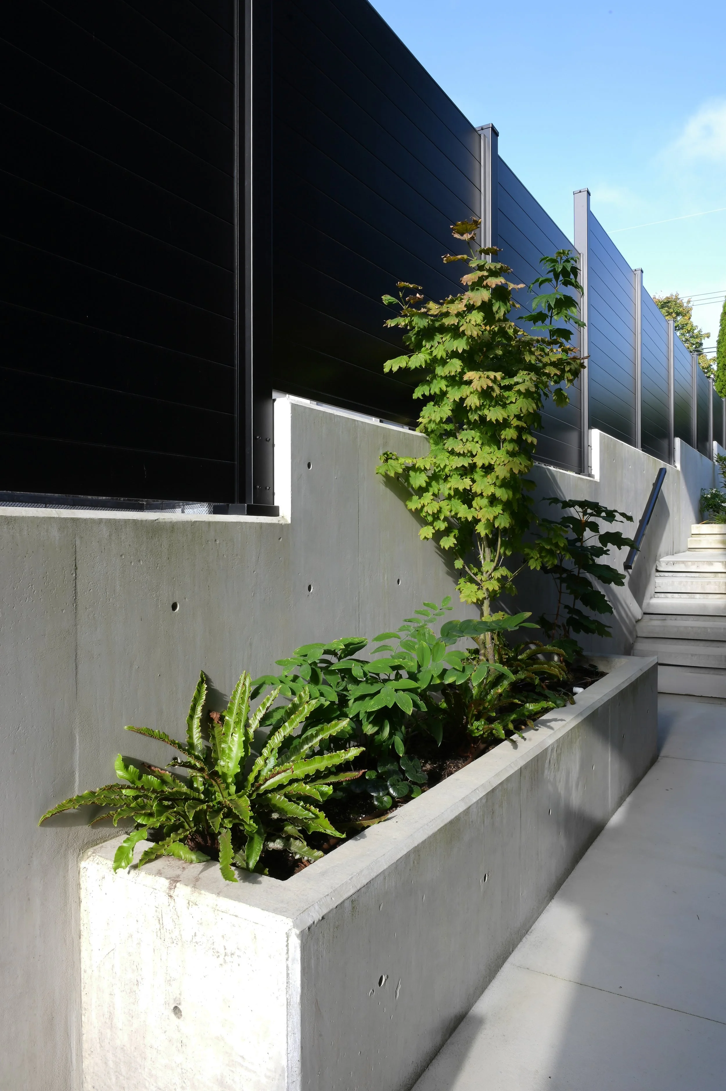 new-westminster-retaining-wall-exterior-renovation - After - 16.jpg