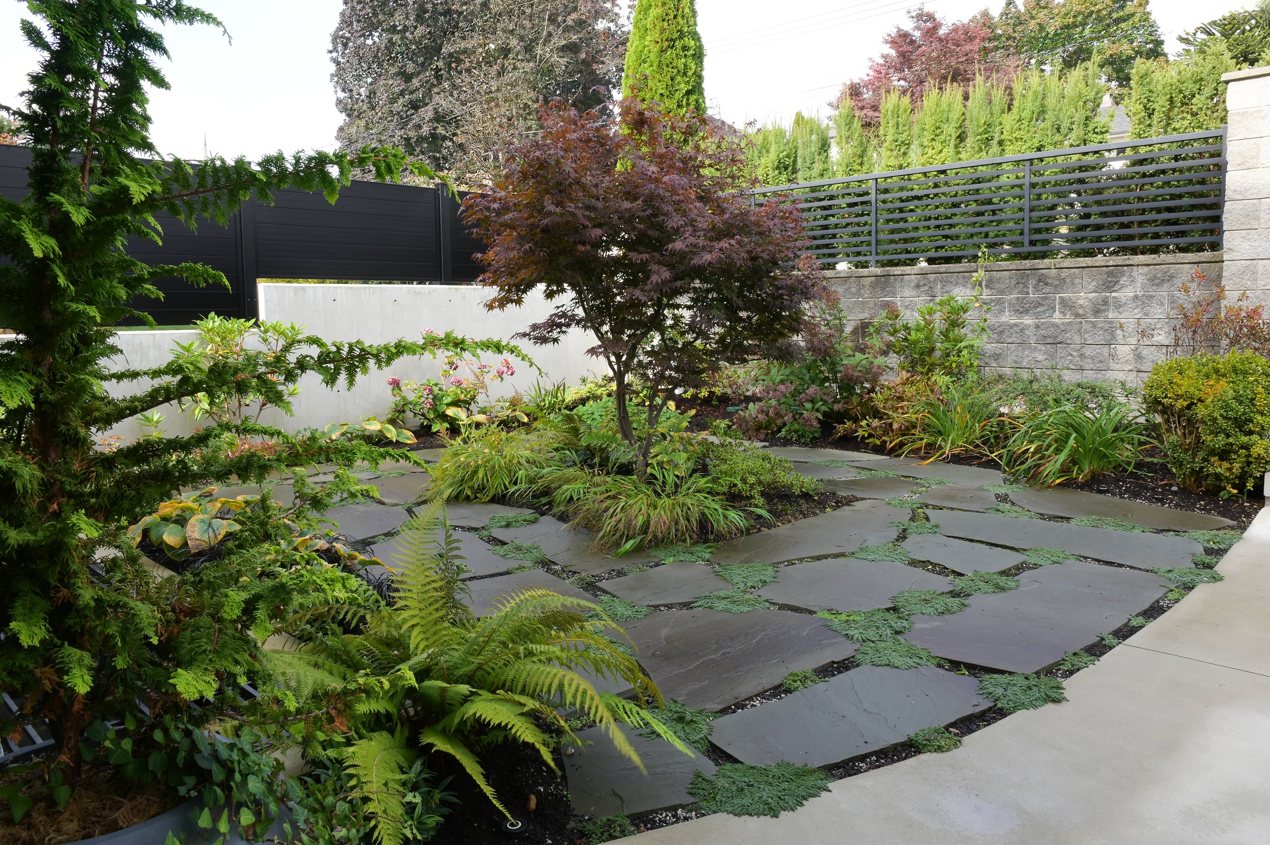 new-westminster-retaining-wall-exterior-renovation - After - 31.jpg