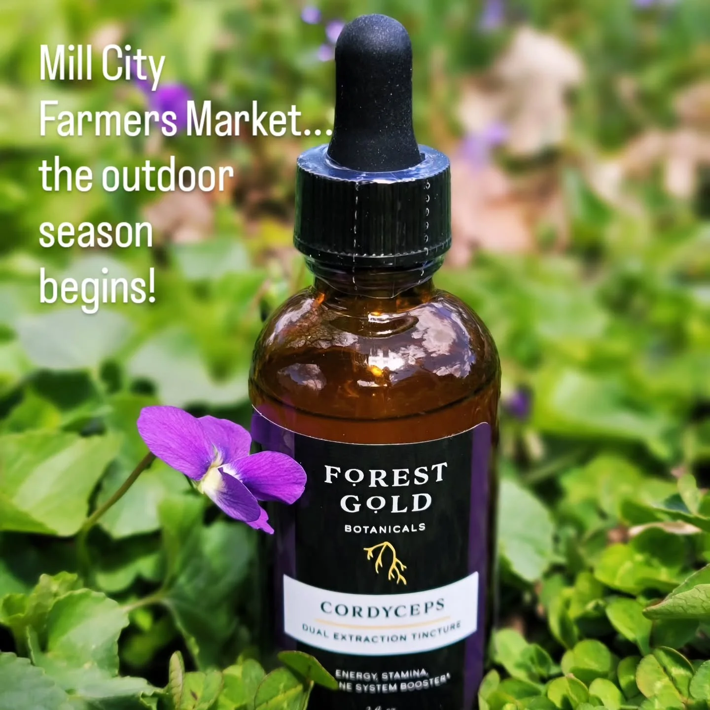 Kick off the summer market season May 2nd @MillCityFarmersMarket in downtown Minneapolis! Forest Gold Botanicals will be there along with a great mix of fantastic vendors and an awesome, welcoming community. 8 AM - 1 PM Hope to see you there!
#millci