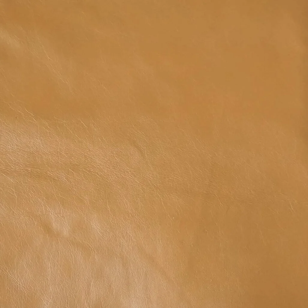 3220A81B-1AE5-46C6-85D2-BAC1116CBEEE