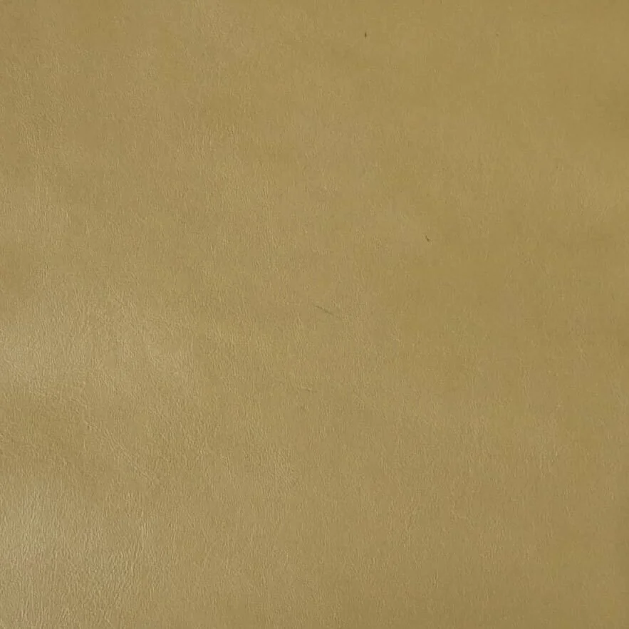 E17FBDDC-E95A-4440-9E58-B95F07ACD54C