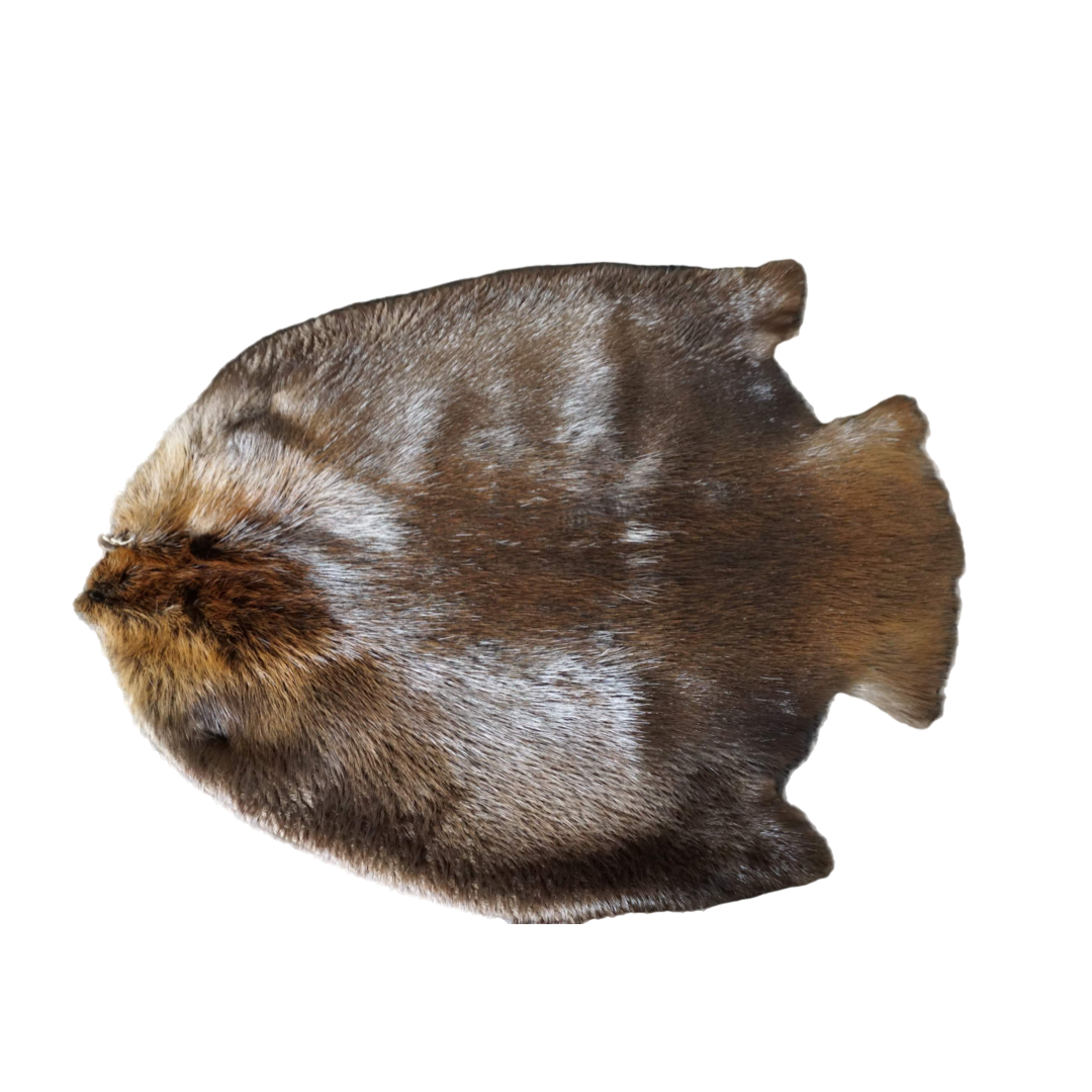 5D30CA34-D5CD-4655-9260-B5930C402F13