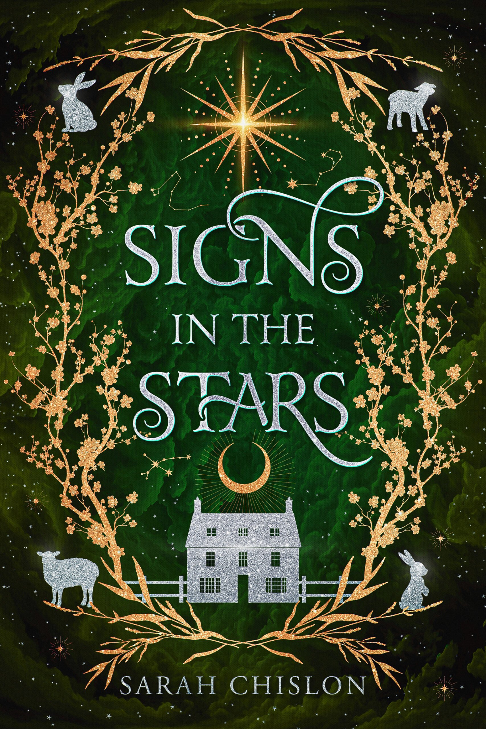 Signs in the Stars cover.jpg