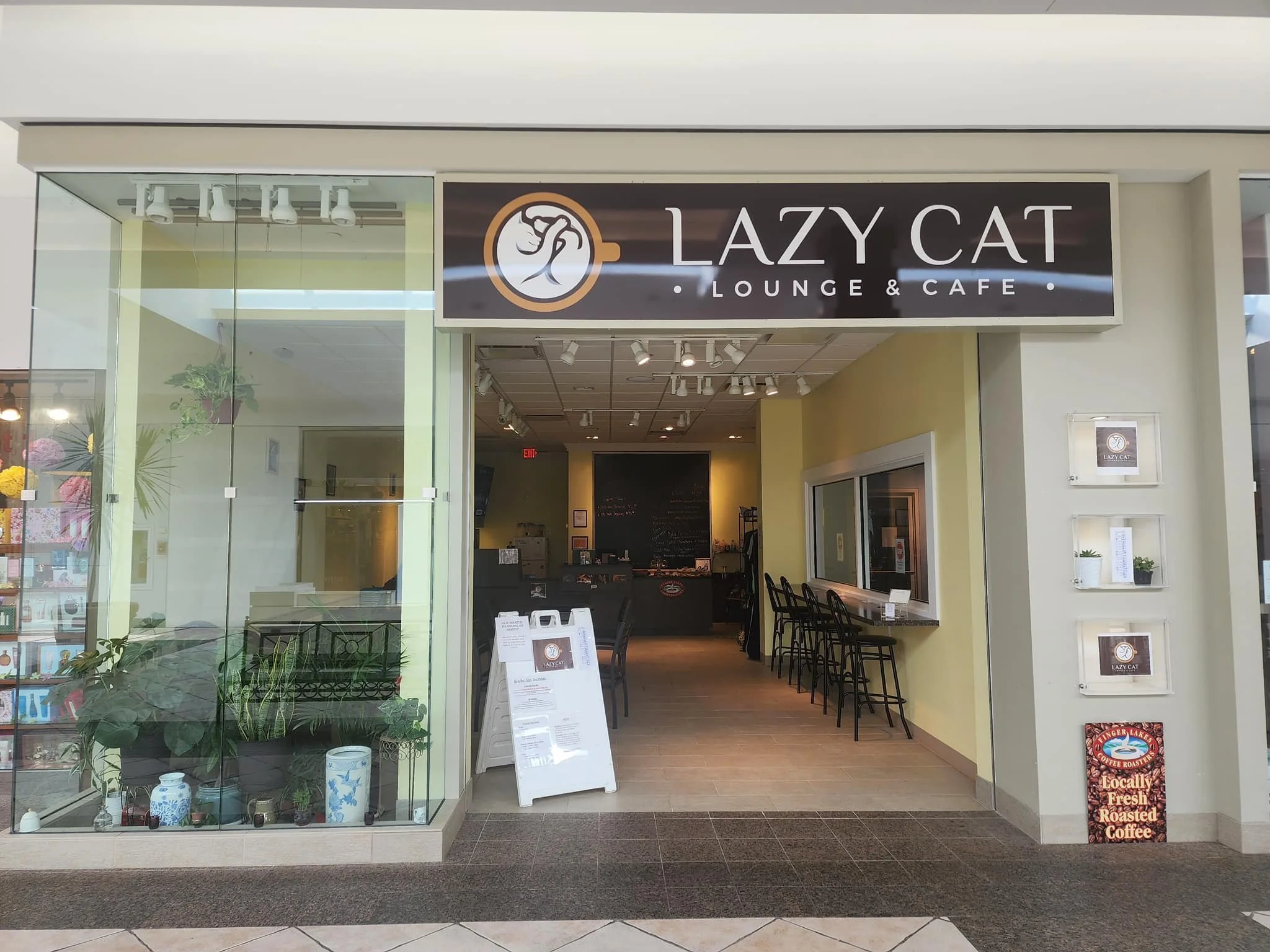 Our Story — Lazy Cat Lounge & Cafe
