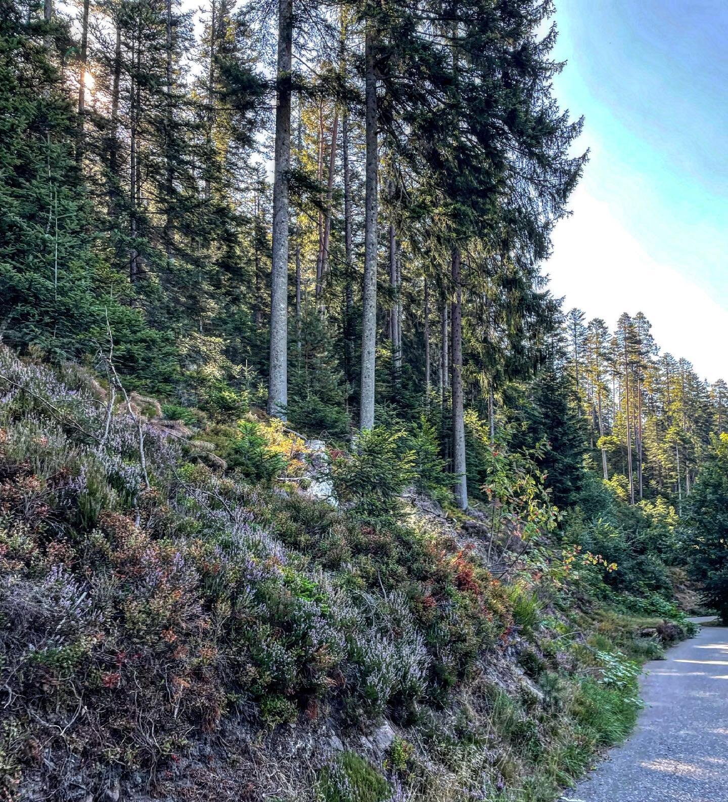 Auf wiedersehen, mein beliebtes Deutschland! 

This was a strange trip, of saying final goodbyes to one family member while celebrating the extraordinary long life of another, of balancing the needs and wants of several generations piled together in 