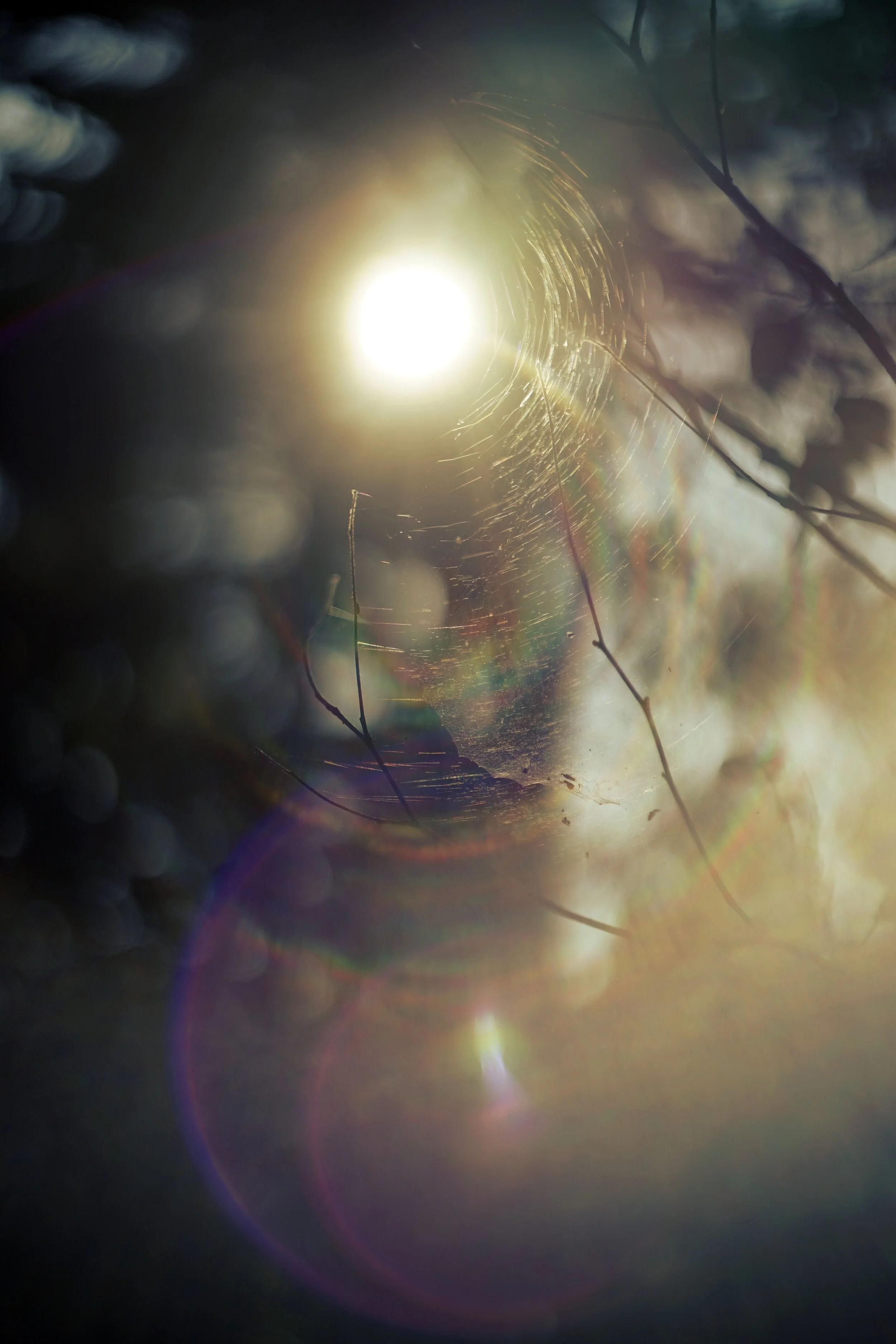 At the Heart of My Anxiety: A Fear of Breathing