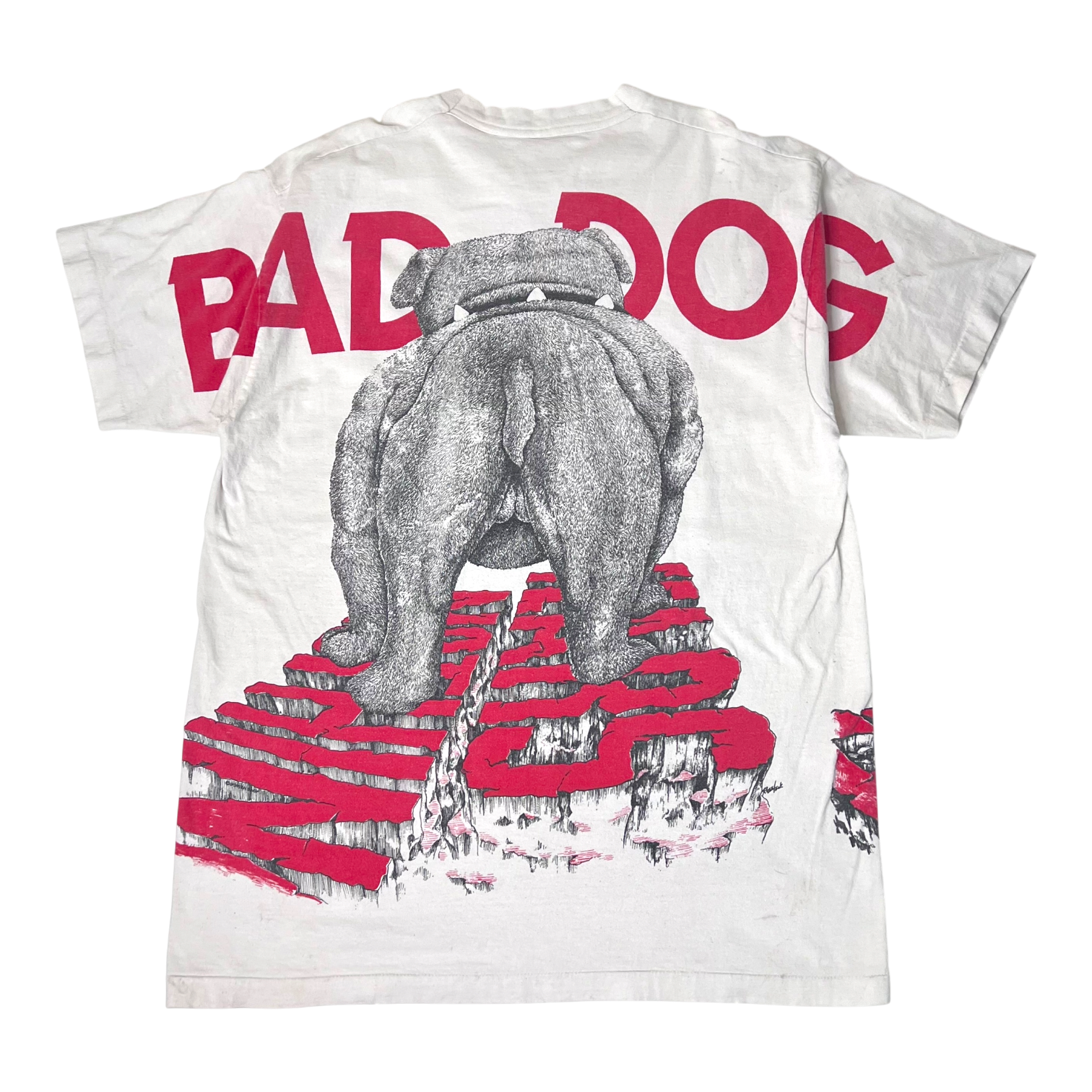 IMG_3635-Photoroom 2.PNG