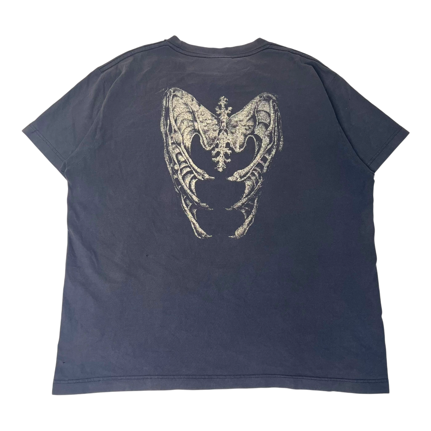 IMG_3549-Photoroom 2.PNG