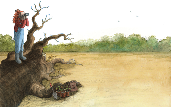 Granny's Pockets Final Field RGB.png