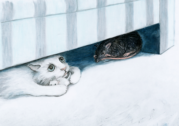 Mimi and Rat hide RGB Resize 281025.png